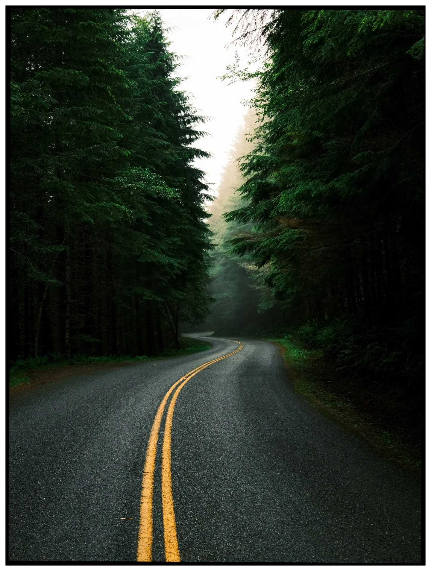 Once upon a time before I fell in love with film photography and my only camera was the x100v

#fujifilm #x100v #photography @fujifilmx_us