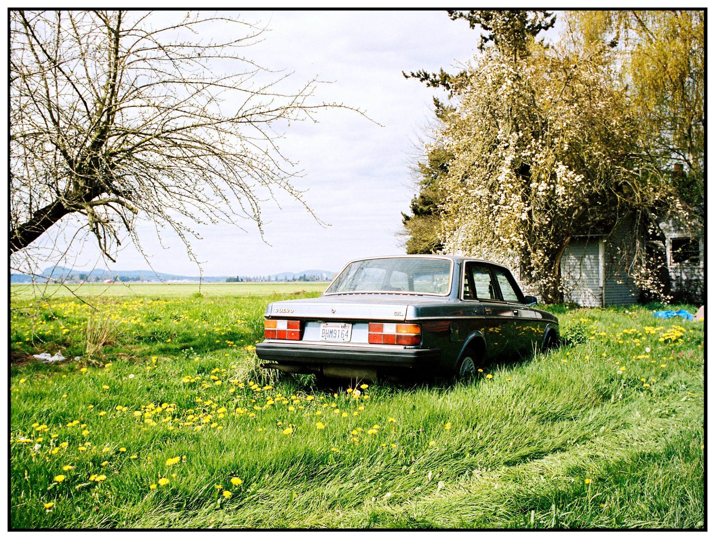 Down in the valley 💐

#madewithkodak #kodakprofessional #portra800 #filmphotography 

developed and scanned by @thefindlab