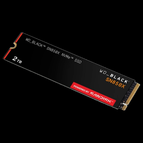 Untitled design (11).png