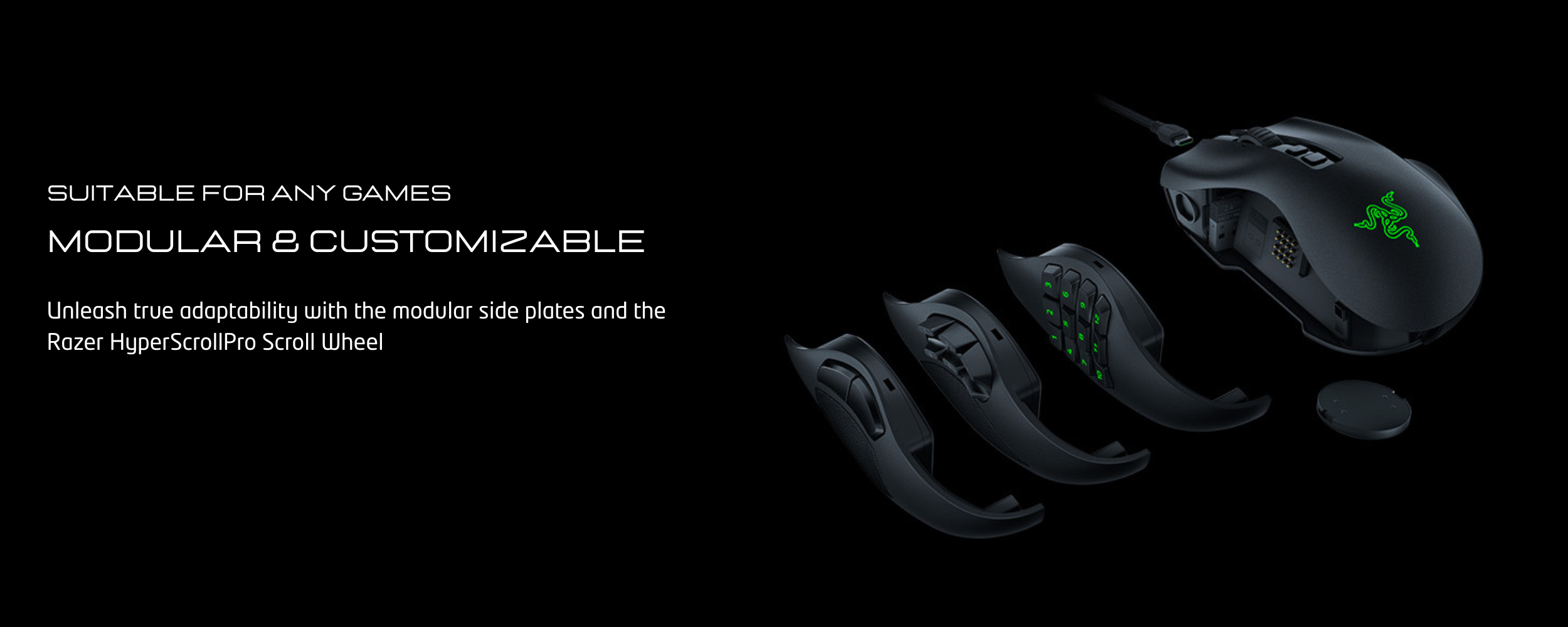 razer (26).png