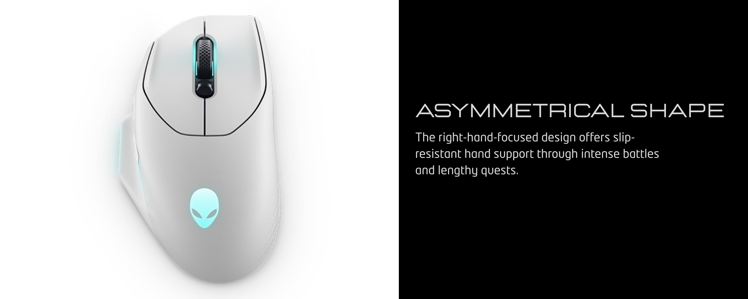 razer - 2026-01-06T023139.986.png