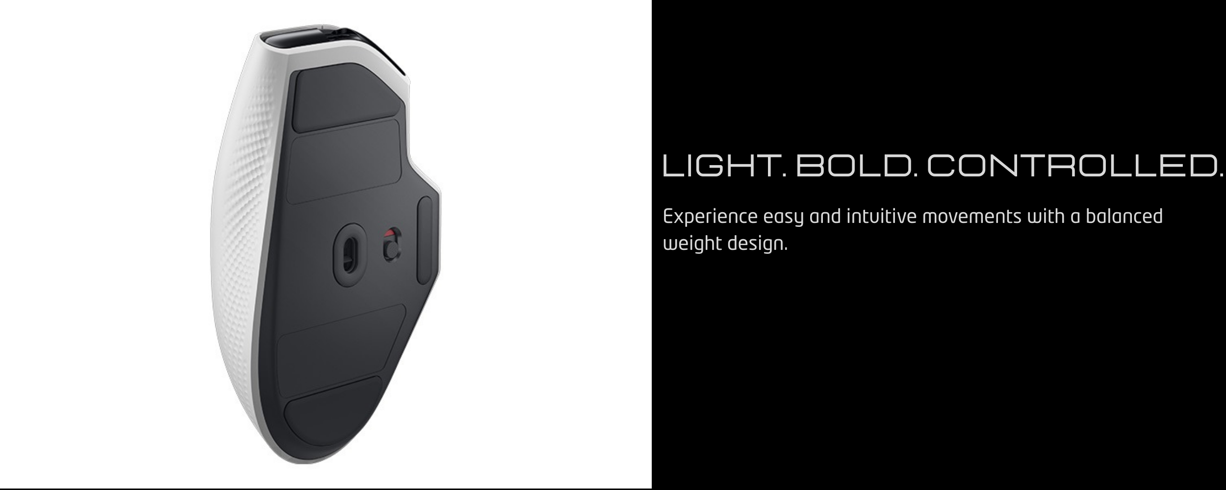 razer - 2026-01-06T023539.541.png