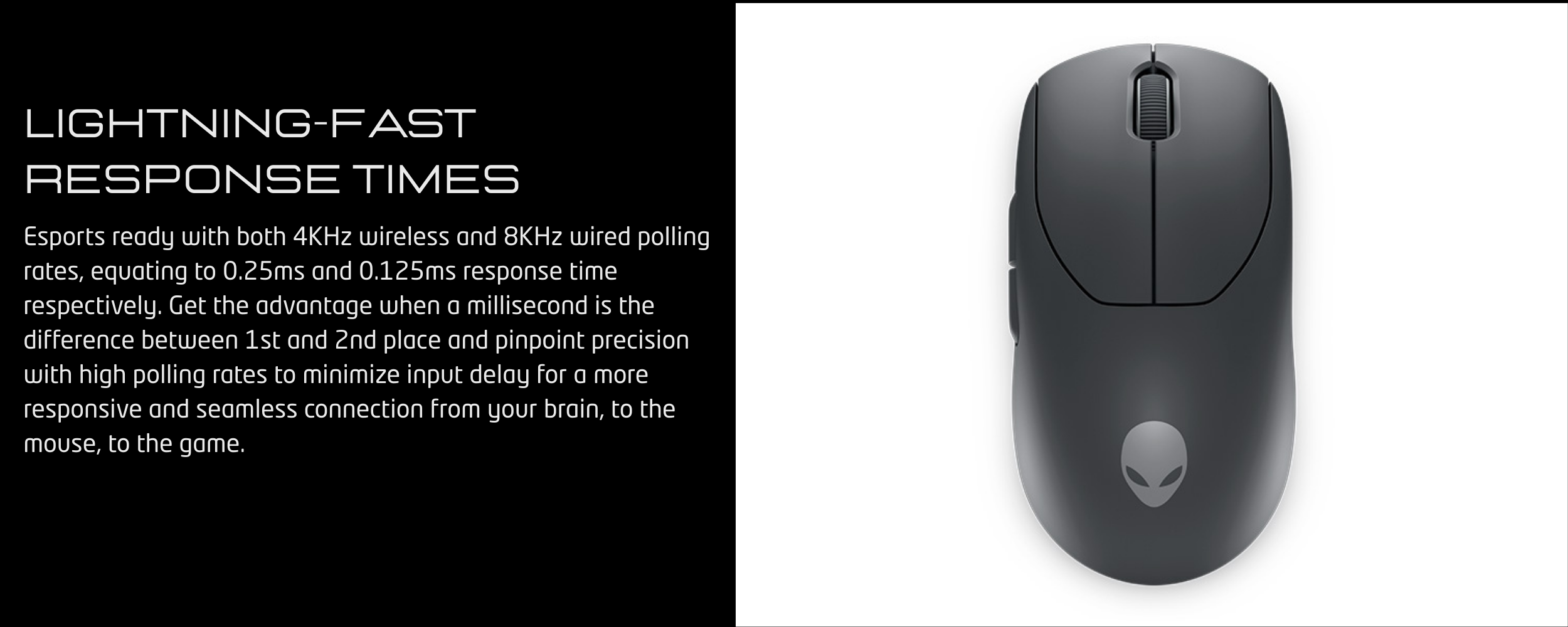 razer - 2026-01-06T090532.218.png