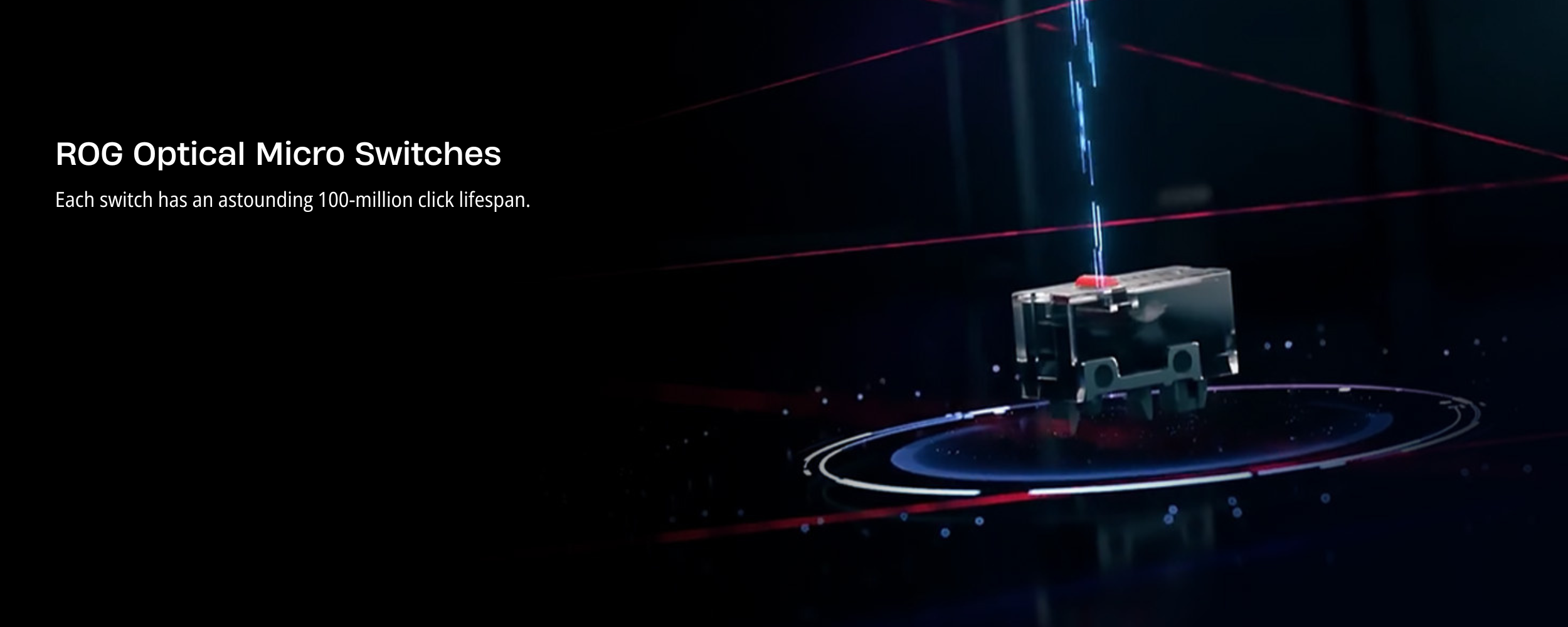 2500 x 1000 (19).png