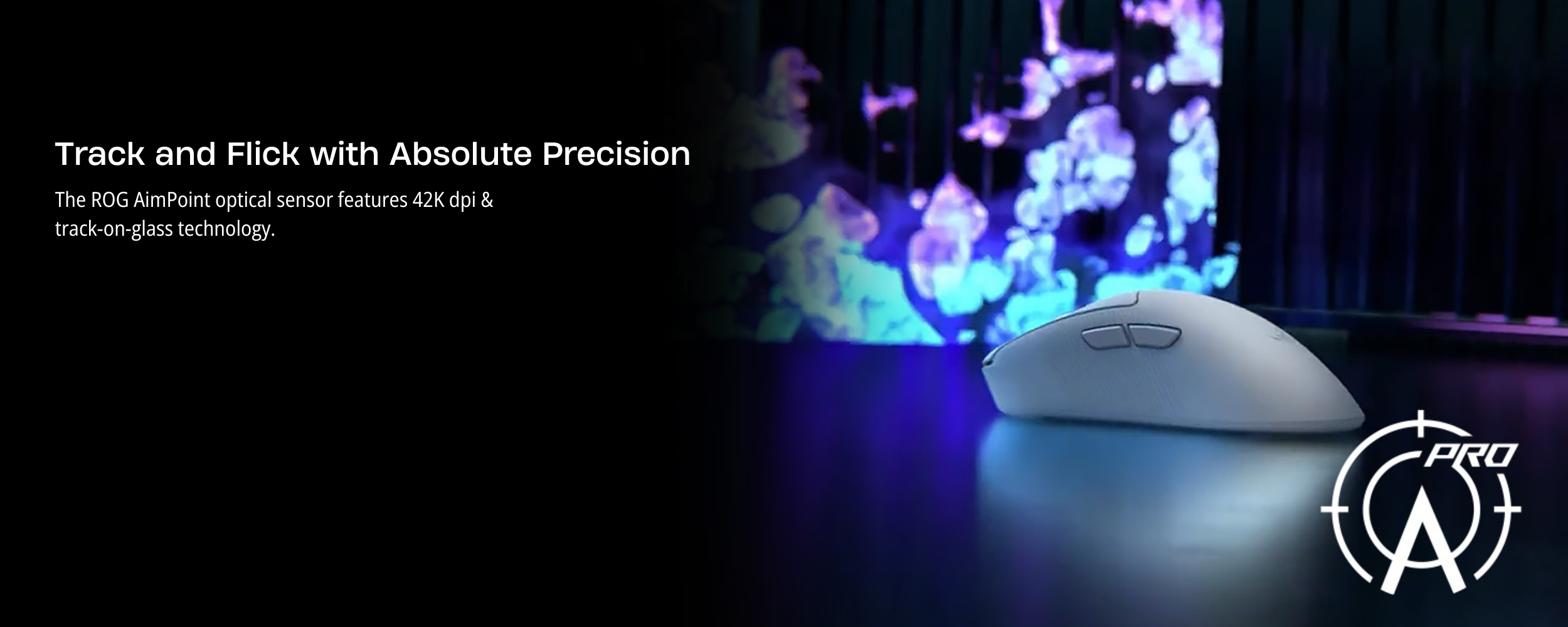 2500 x 1000 (18).png