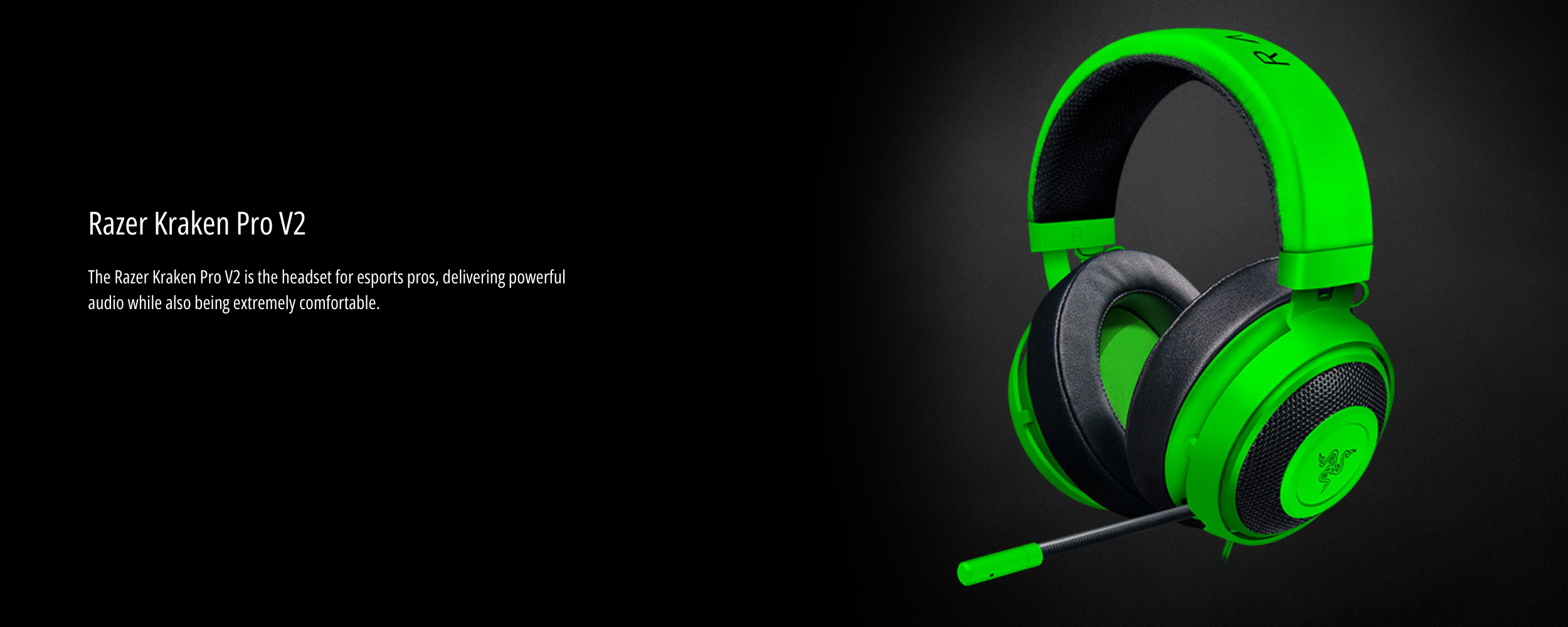 2500 x 1000 (83).png