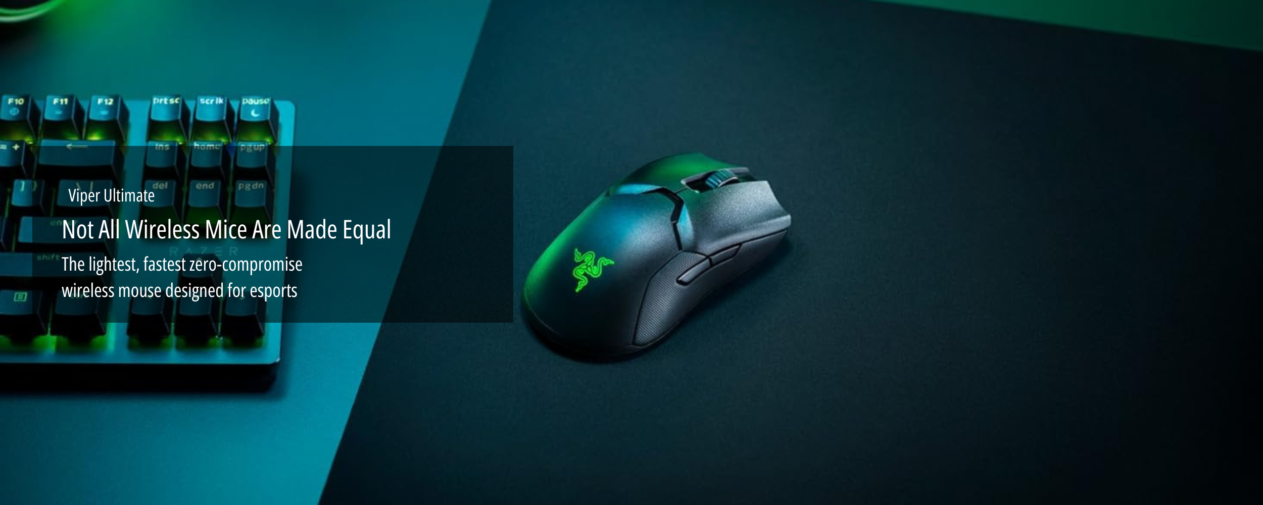 2500 x 1000 (87).png