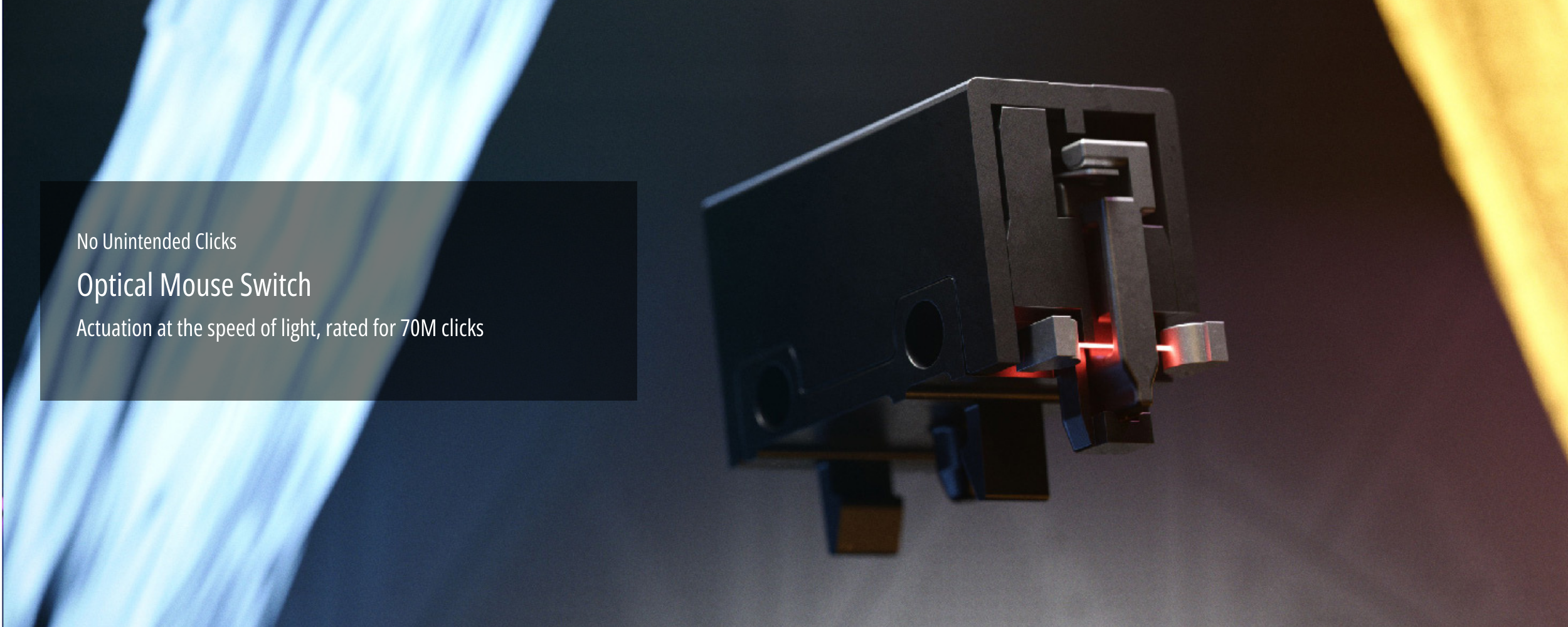 2500 x 1000 (89).png