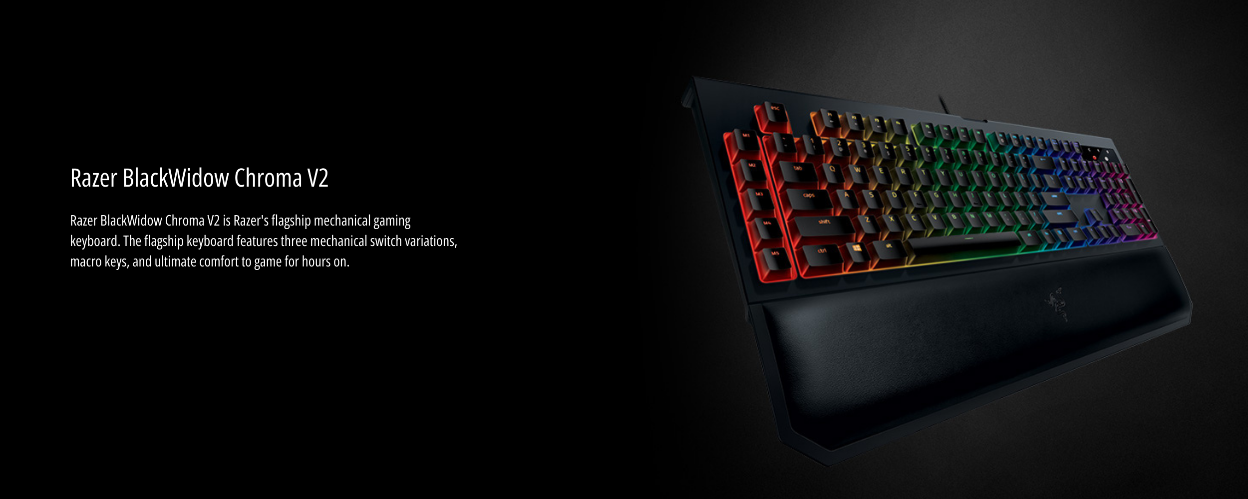 2500 x 1000 (81).png