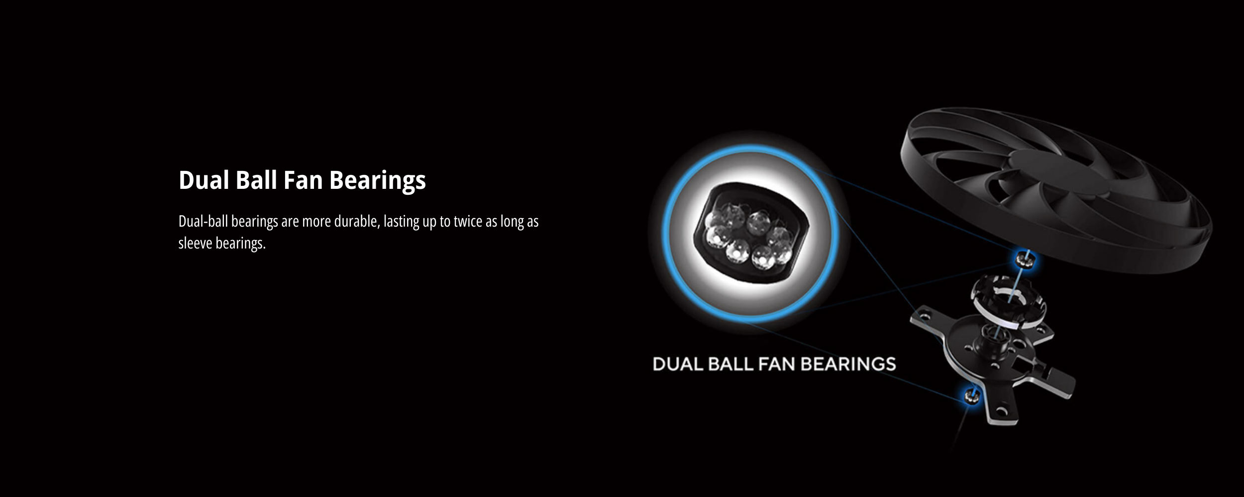 2500 x 1000 - 2026-02-01T104752.616.png