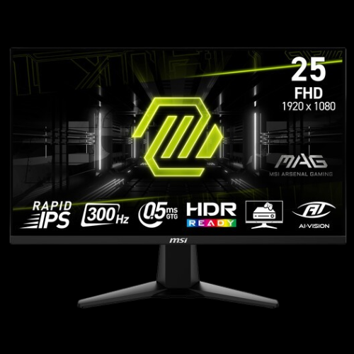 MSI MAG 255XF 24.5" HDR 300 Hz Gaming Monitor