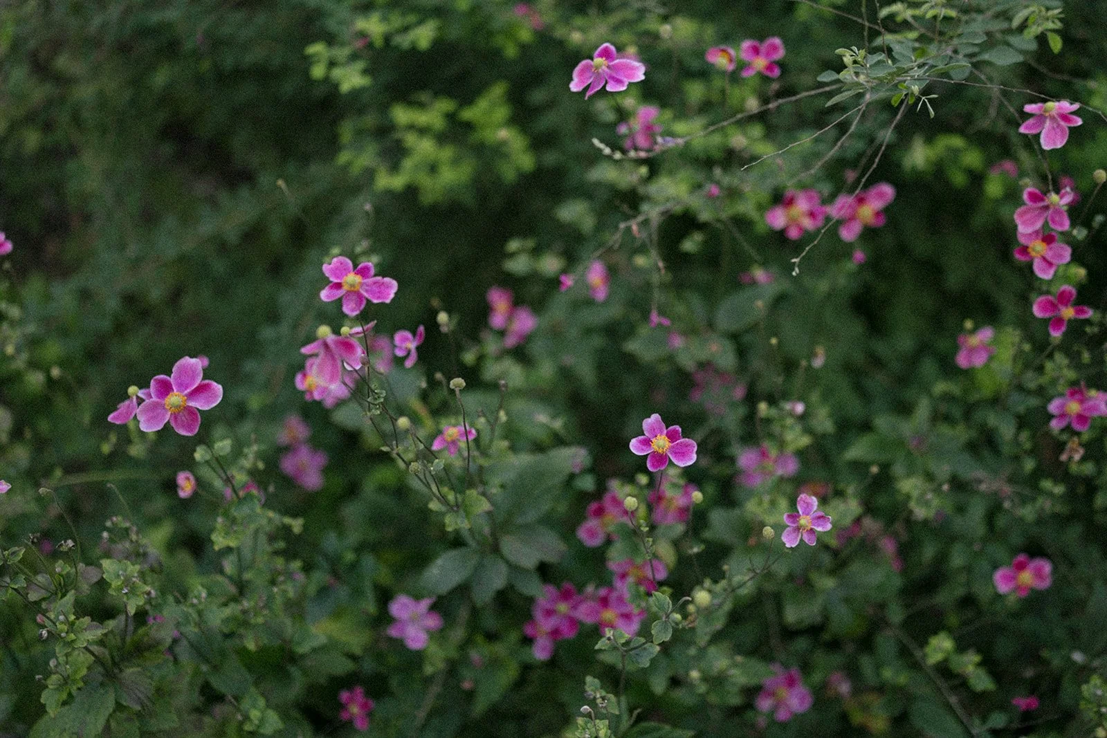 This is your blurb about couple including vendor resources, etc etc.
