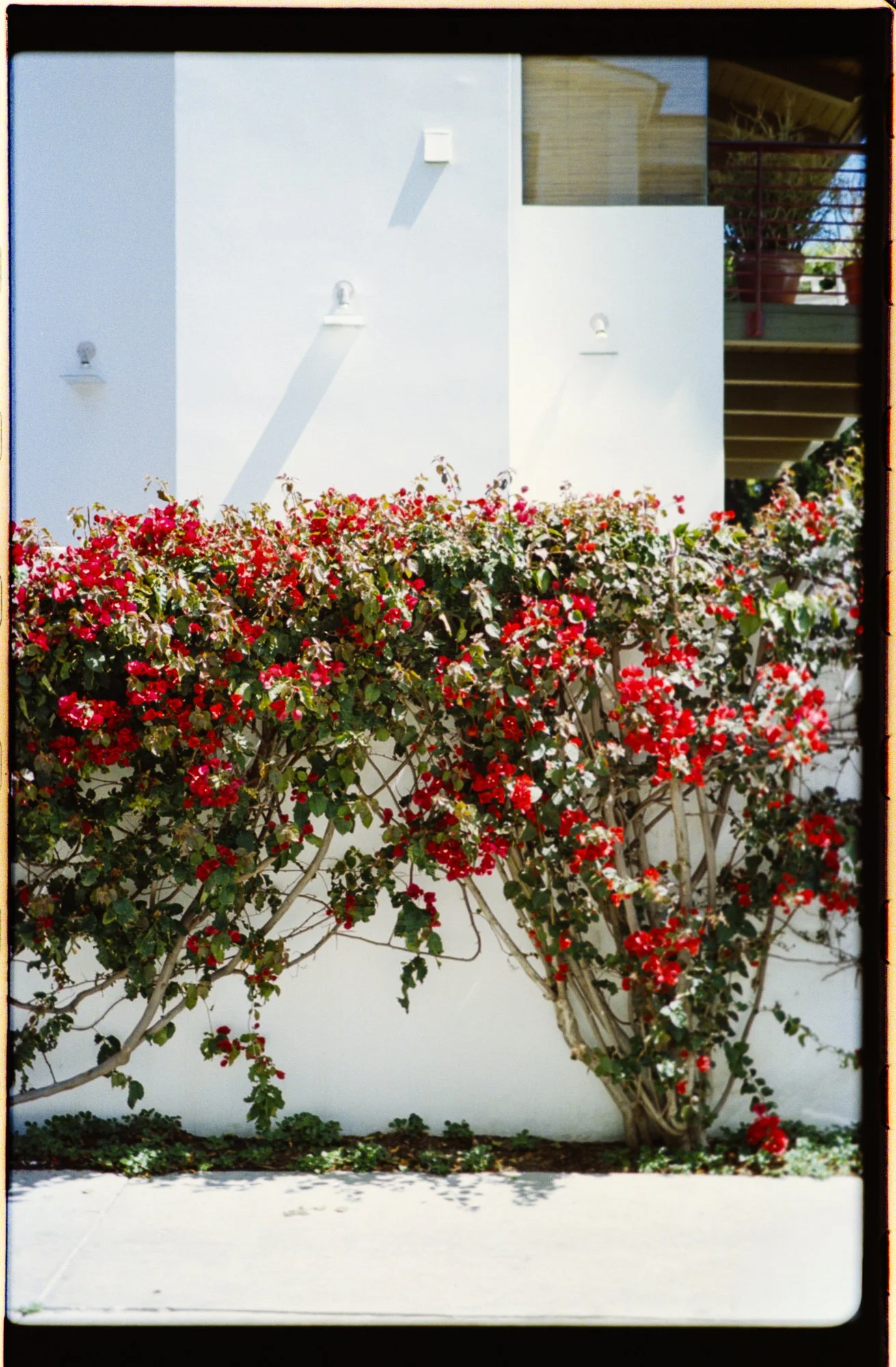 JuneFilm26-6.jpg