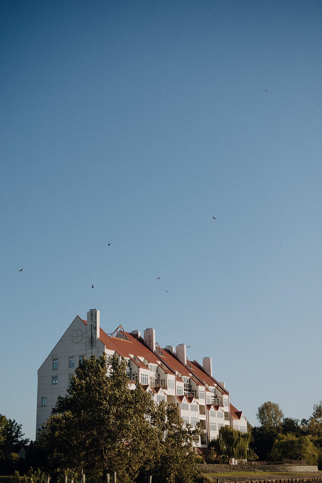 Pulled back shot of mainly blue sky with large building in the distance, surrounded by green trees