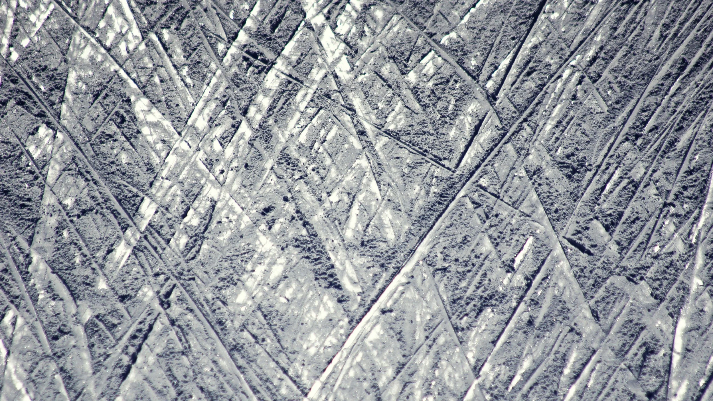 Platinum Level Sponsor