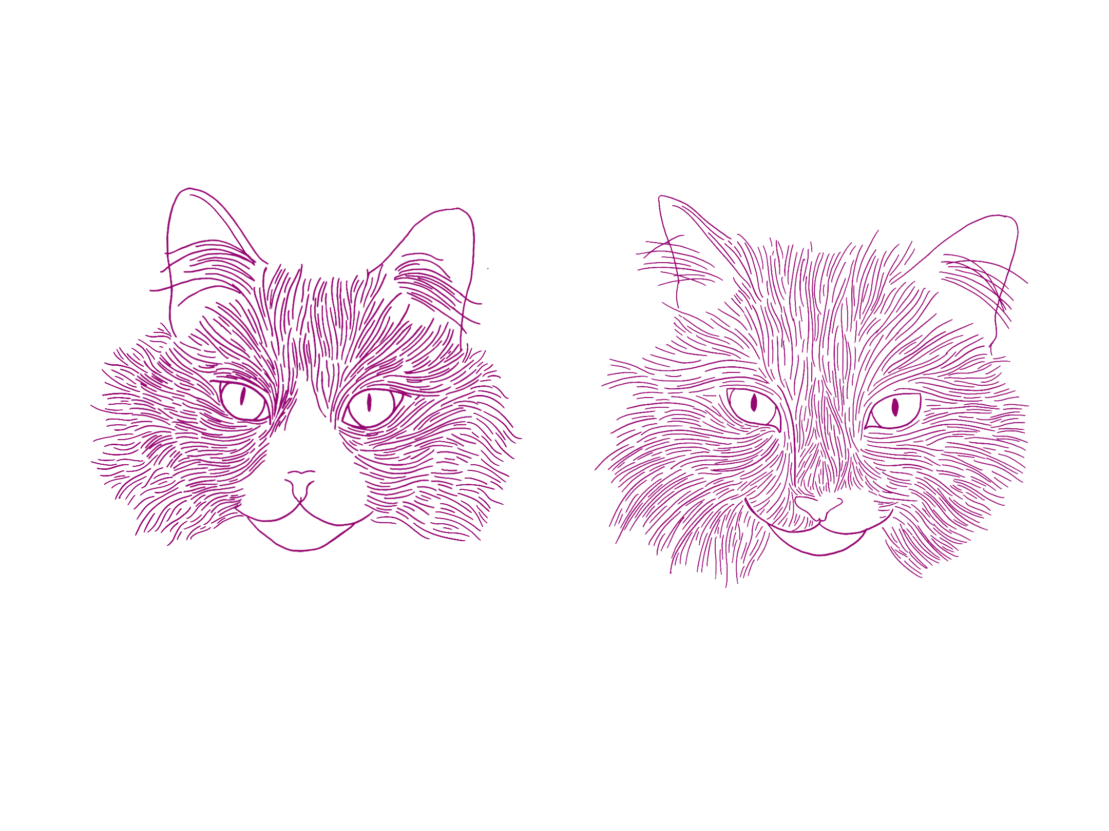 Digital illustration of two cat faces outlined in purple on a black background.