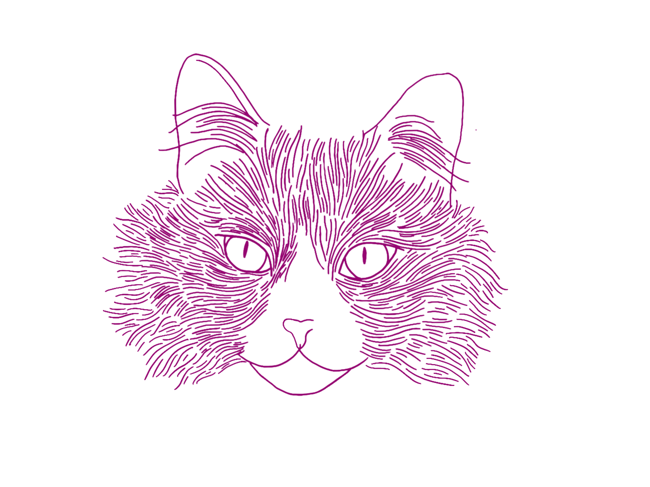Digital illustration of a cat's face in purple lines on a black background.