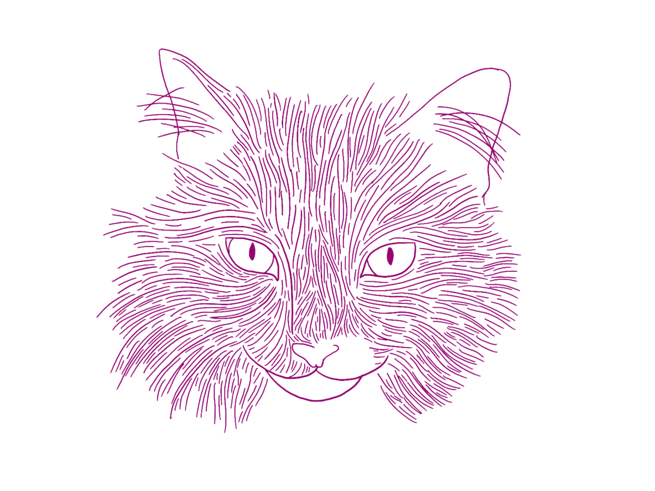 Digital illustration of a cat's face created with purple lines against a black background.