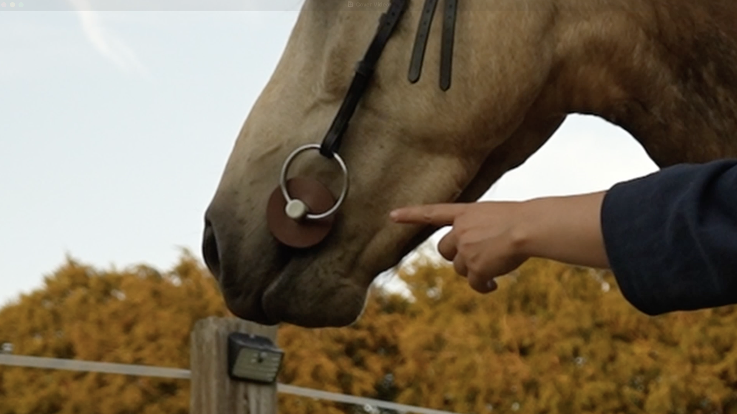 Horse Bit - Equisaurus.png