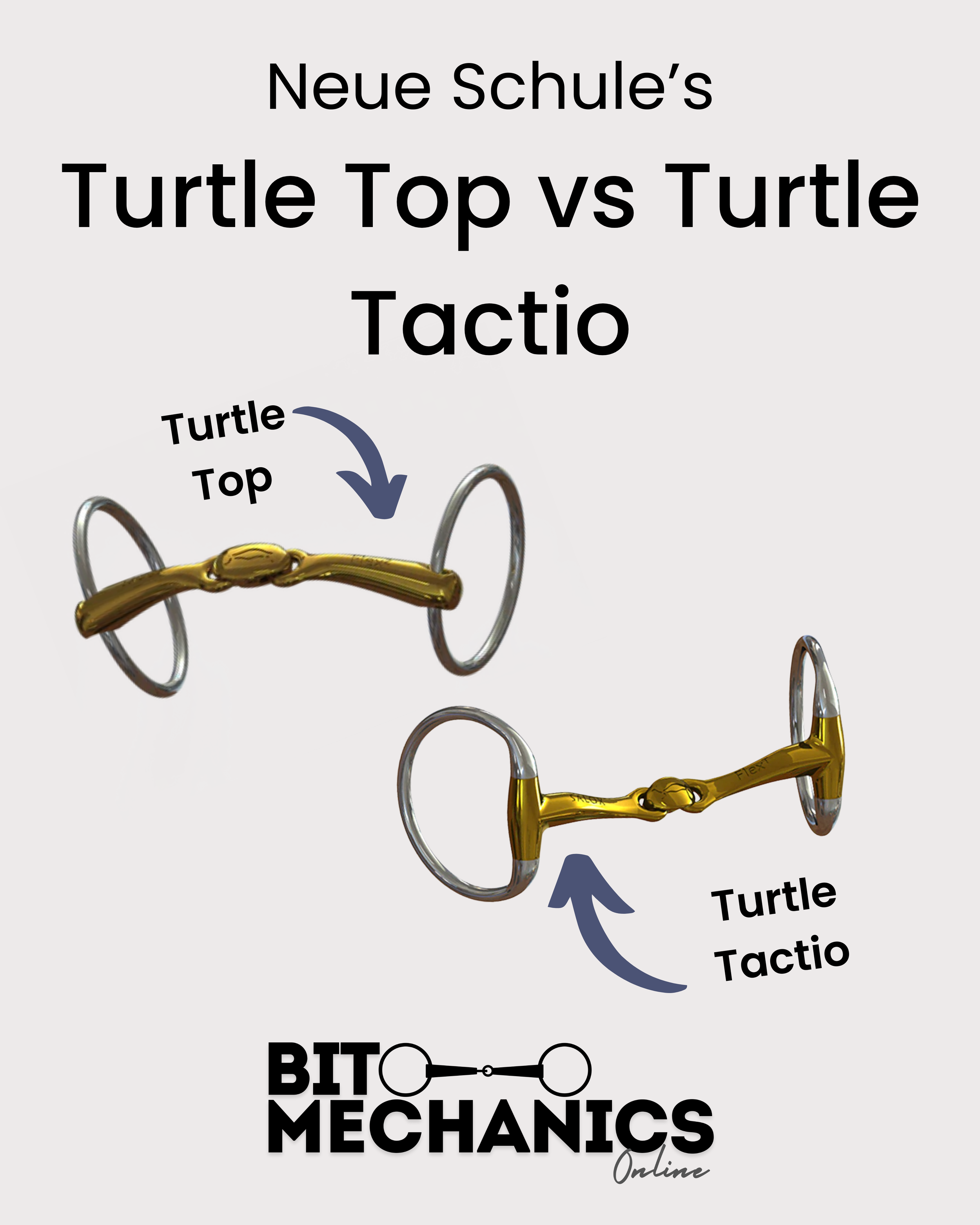 Neue Schule’s Turtle Top vs Turtle Tactio