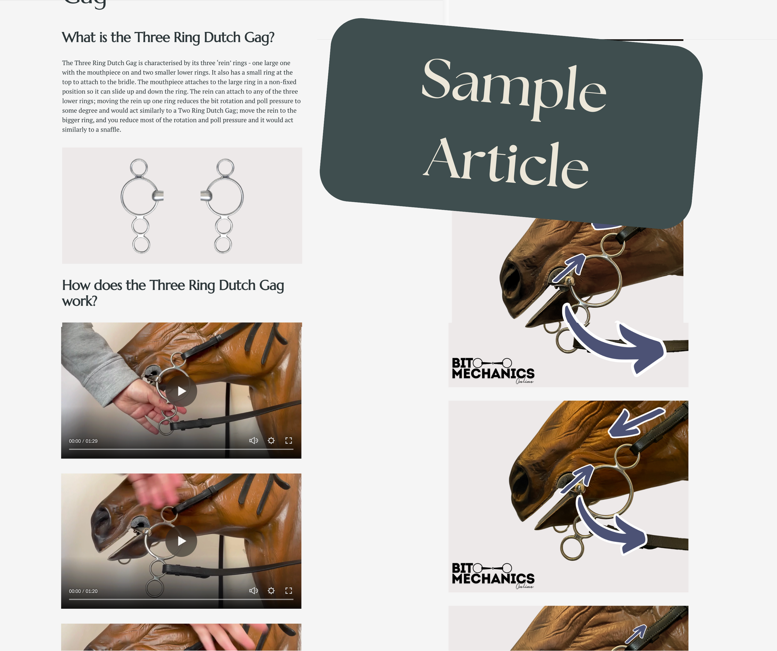Infographic explaining the three ring Dutch gag bit with diagrams, a video demonstrating its use on a horse, and step-by-step visual instructions on attaching the rings to a horse's bridle.