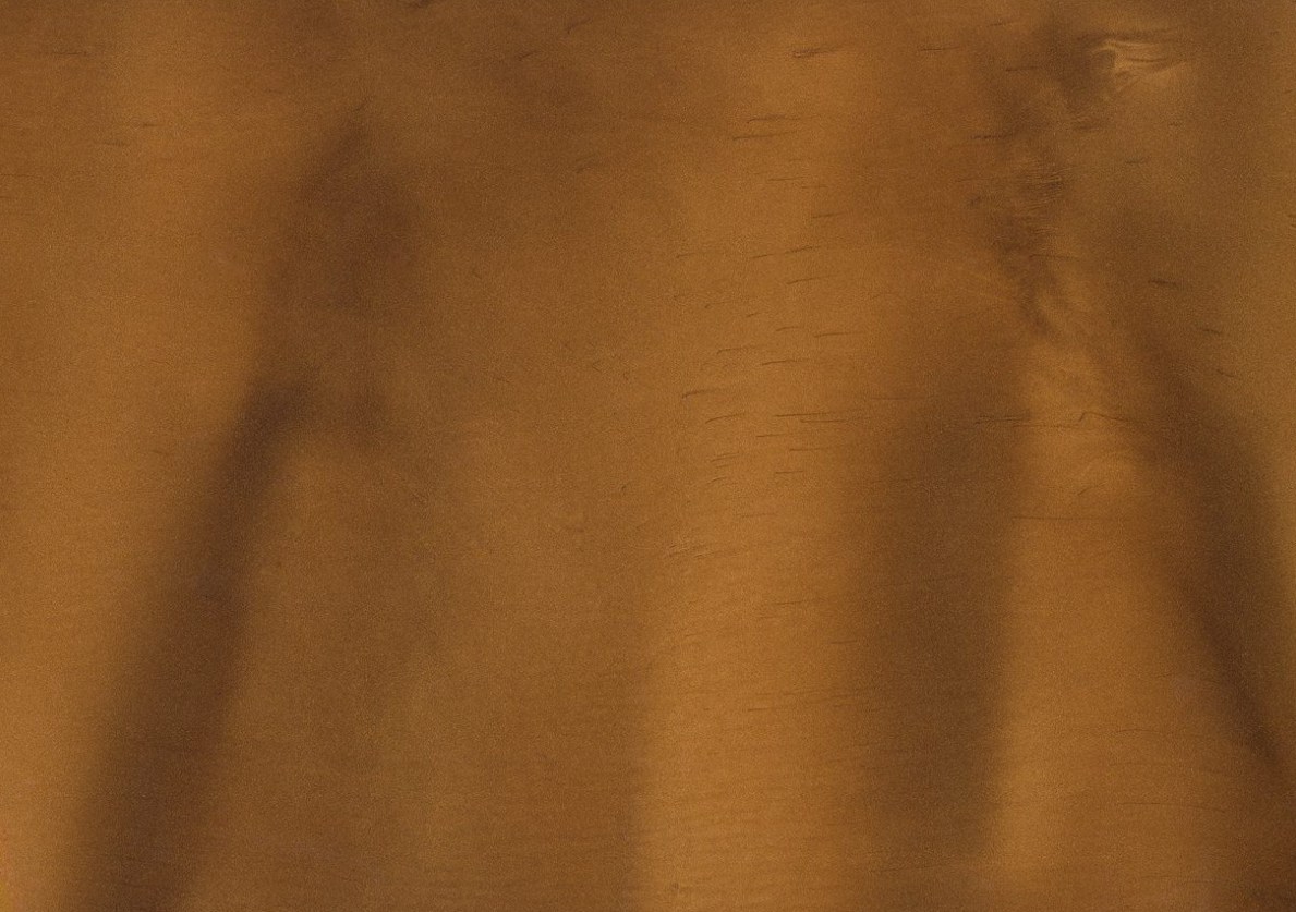 Driftwood (P1135-A) - Pigment