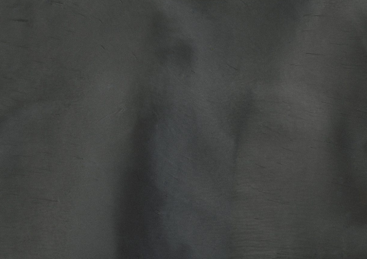 Whale (P1040-A) - Pigment