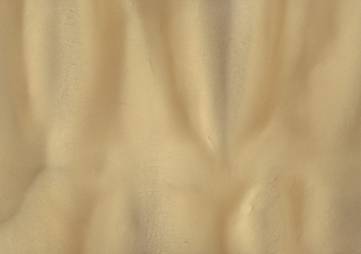 Sandbar (P1115-A) - Pigment