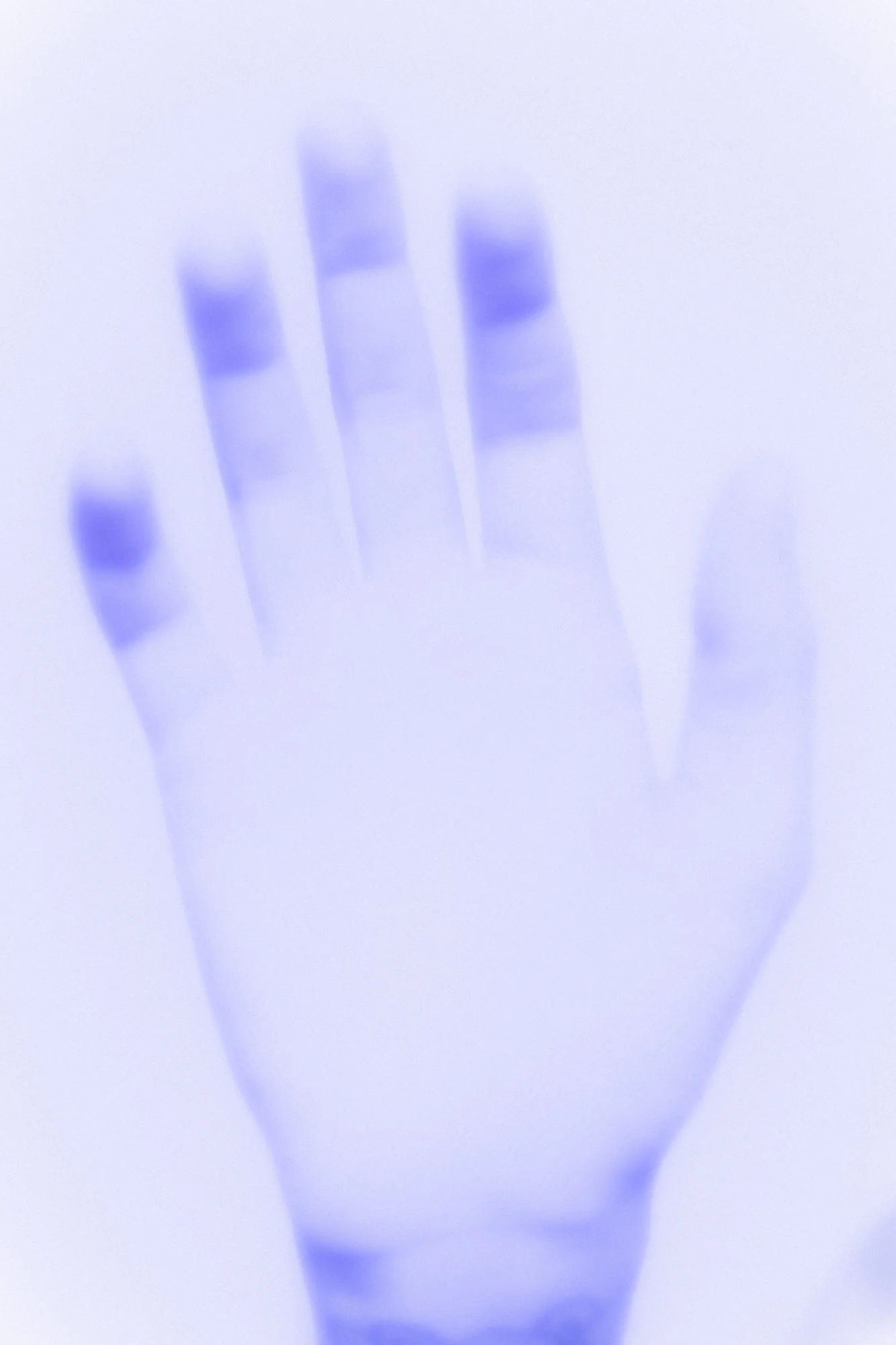 i had a wet dream, 2025