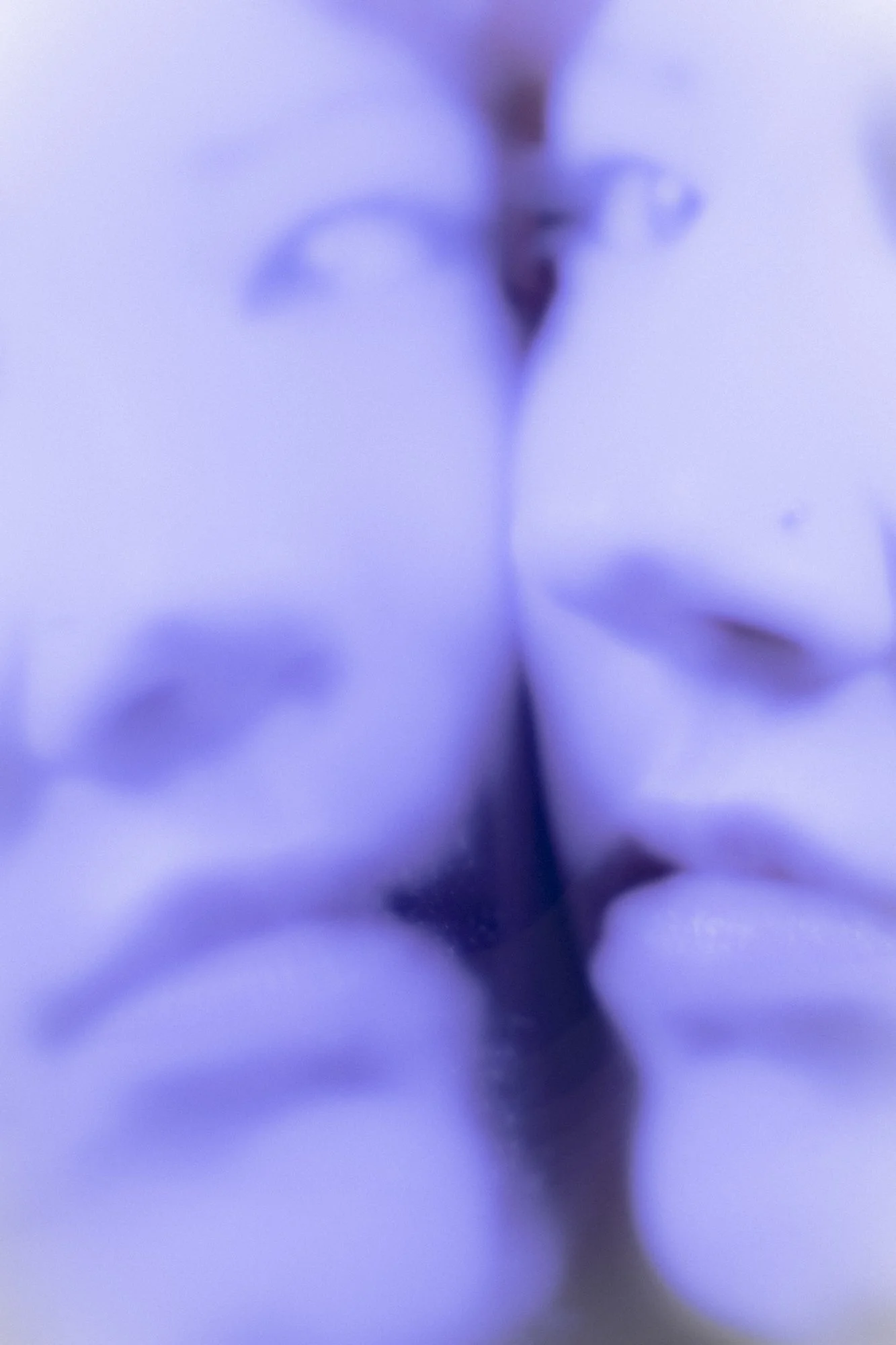 i had a wet dream, 2025