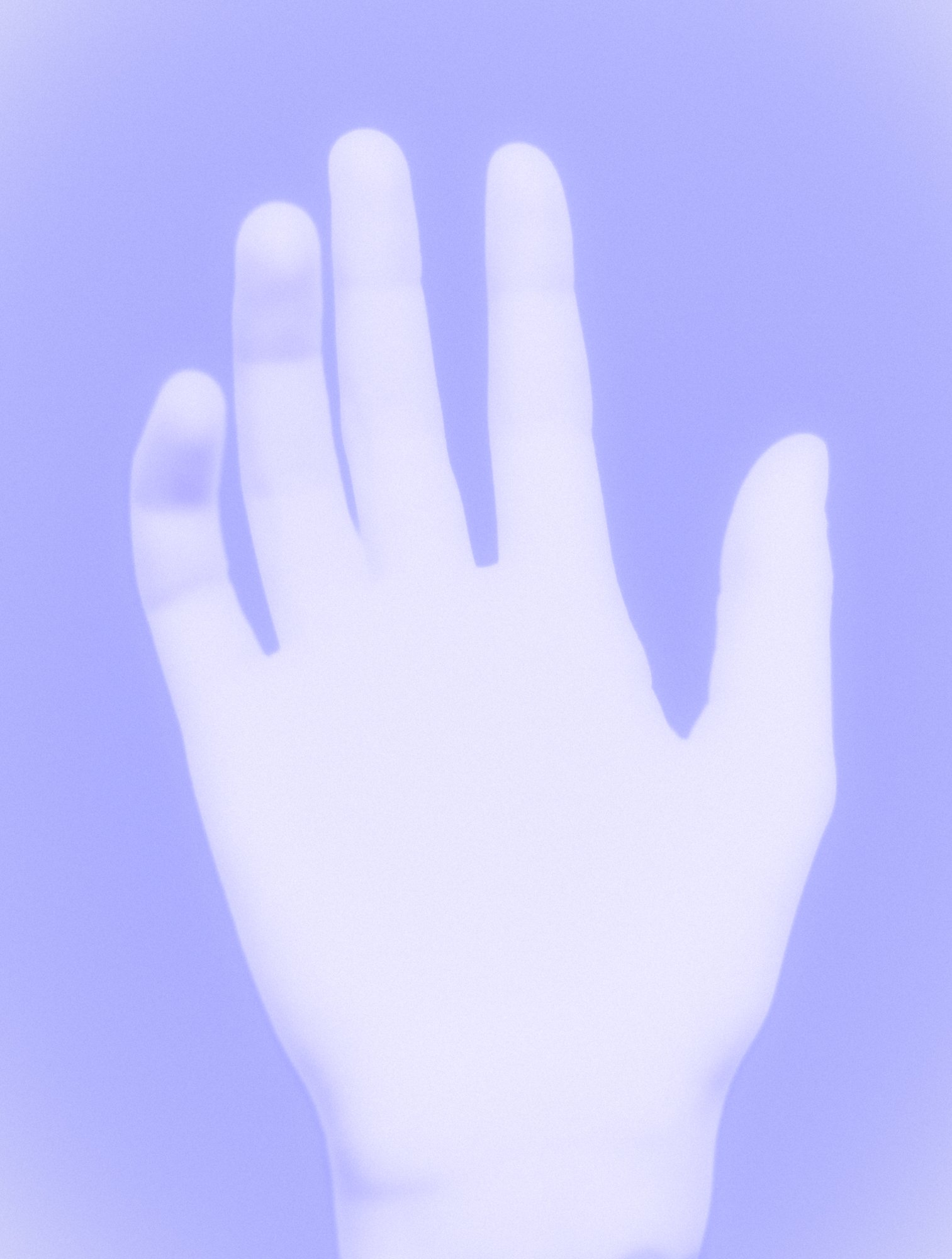 i had a wet dream, 2025