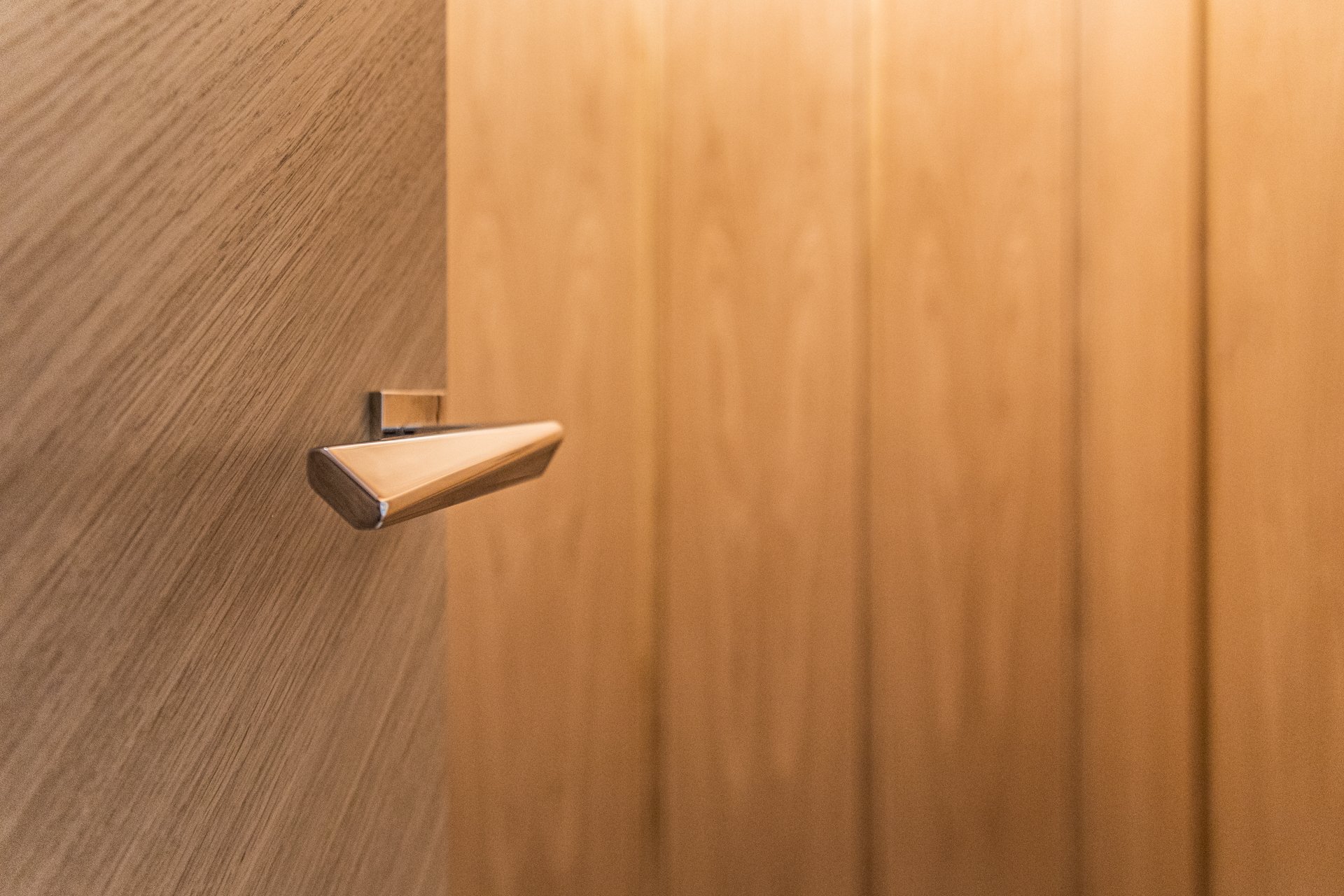 Close-up of a metallic door handle on a wooden door.