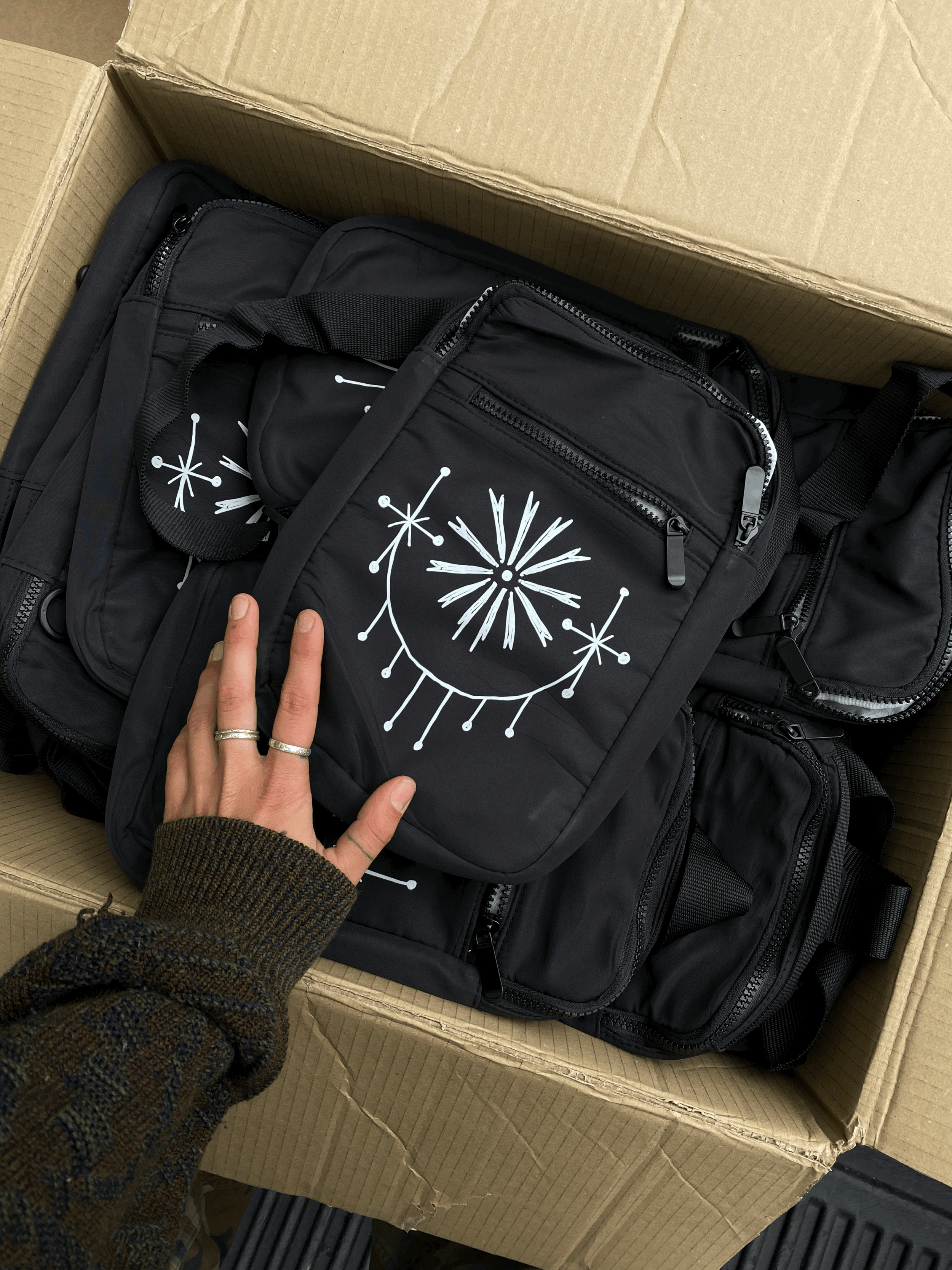 aster shield bag