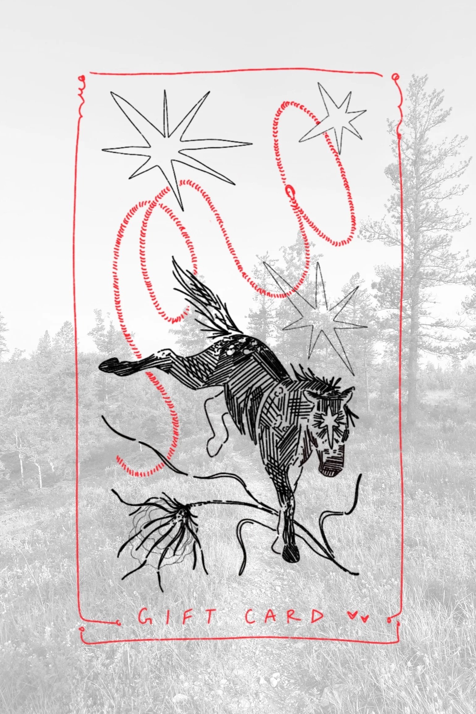 Gift+card+design.jpg