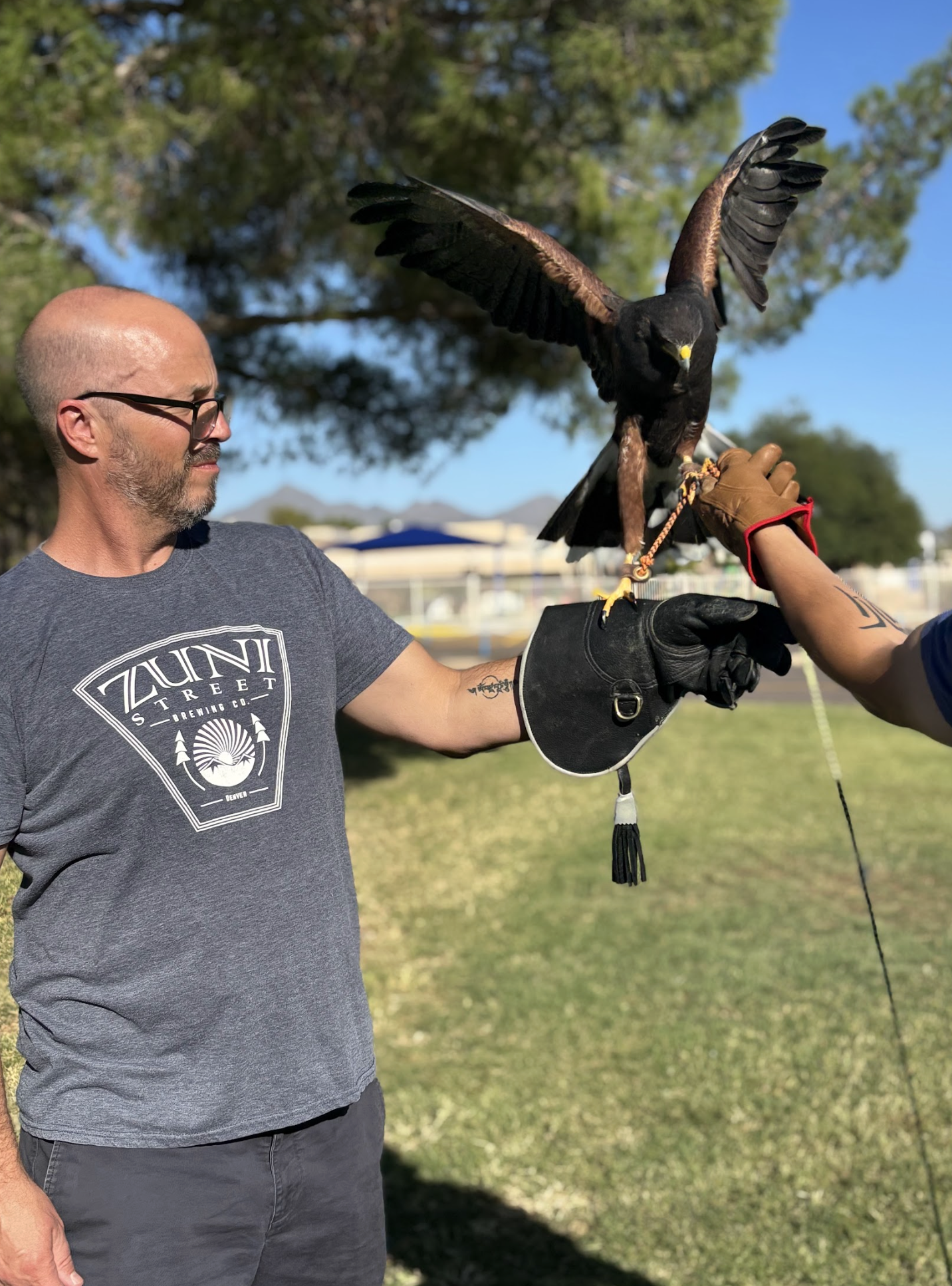 A man holds a gloved arm out as a black hawk with spread wings perches on it, during retreat planning mentorship.