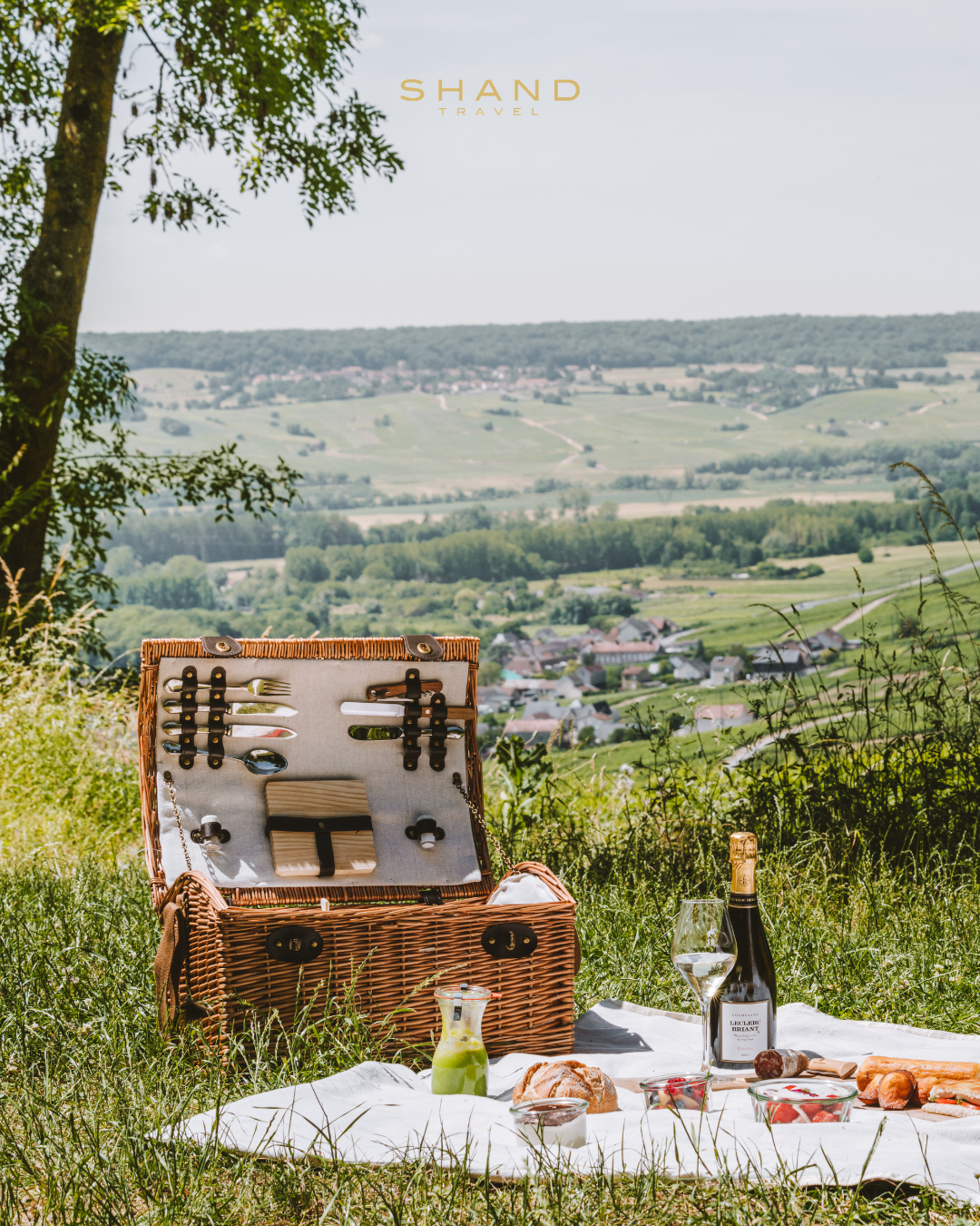 A picnic in the champagne region France