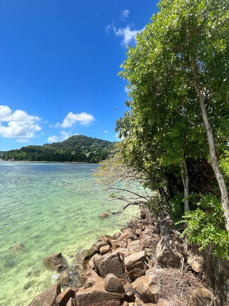 A rocky shoreline with green trees leaning over clear water under a bright blue sky with some clouds.