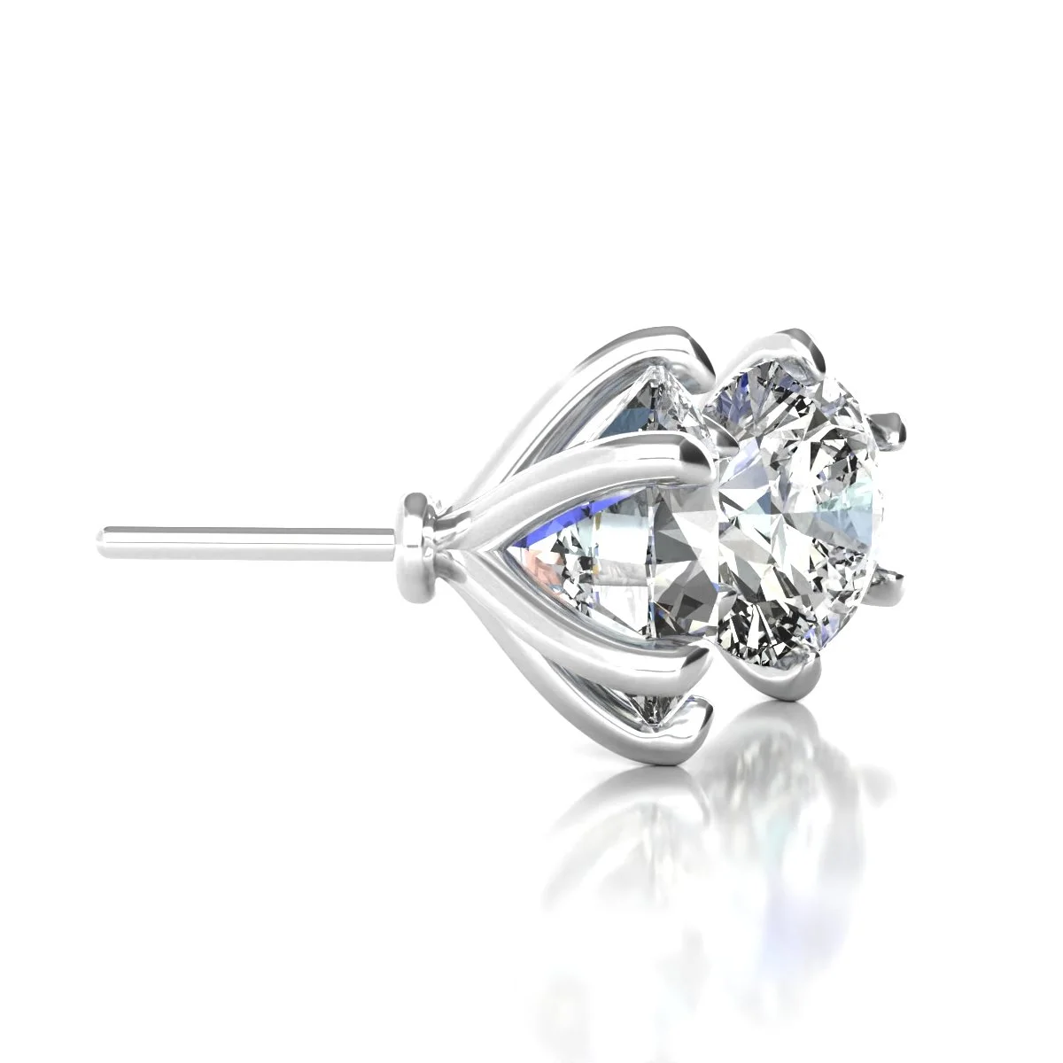 6 prong martini pictures 3.jpg