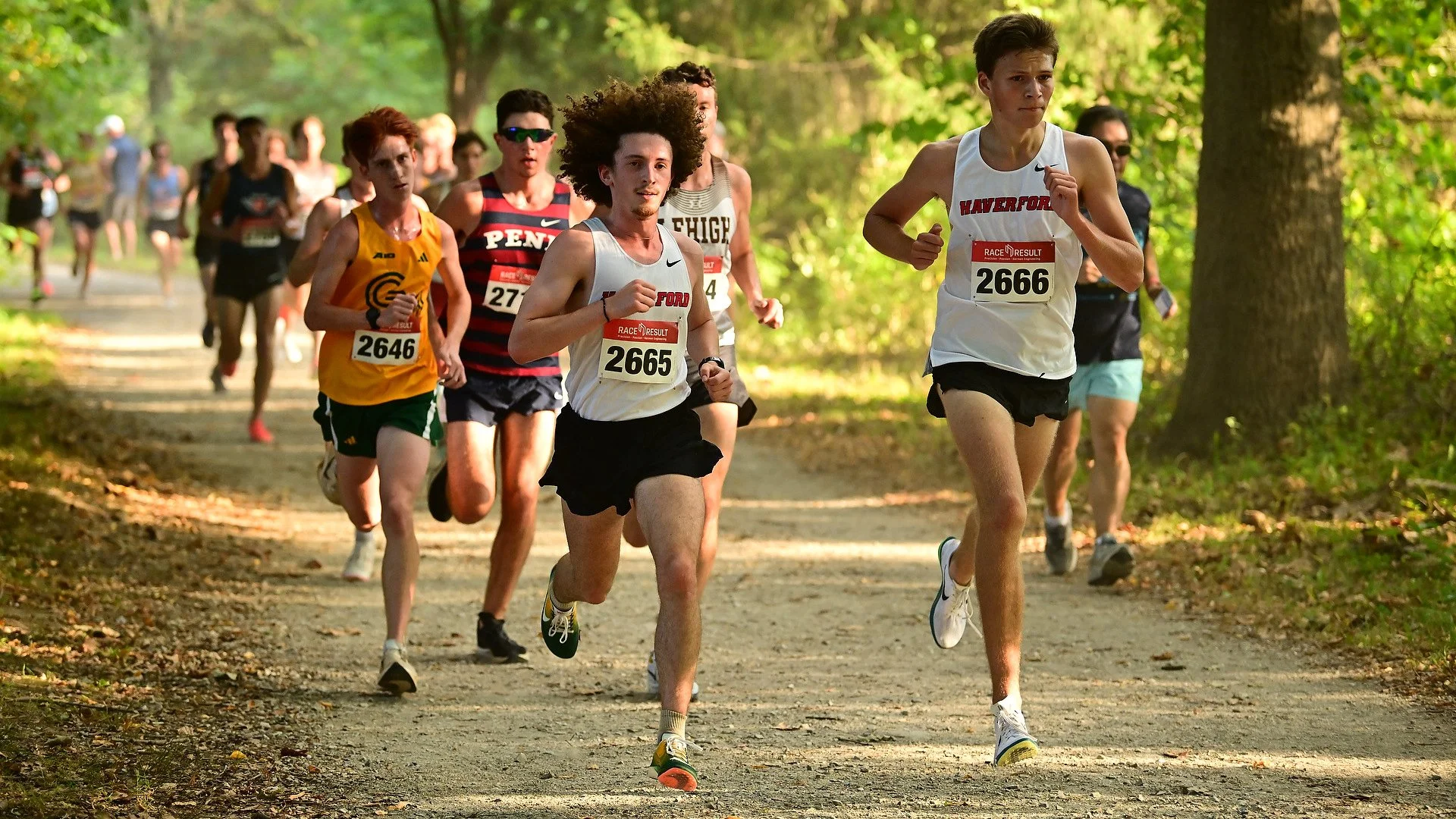 Group of Haverford Men's Cross Country athletes participating in a race through Haverford's Nature Trail, wearing Haverford singlets and numbered bibs.