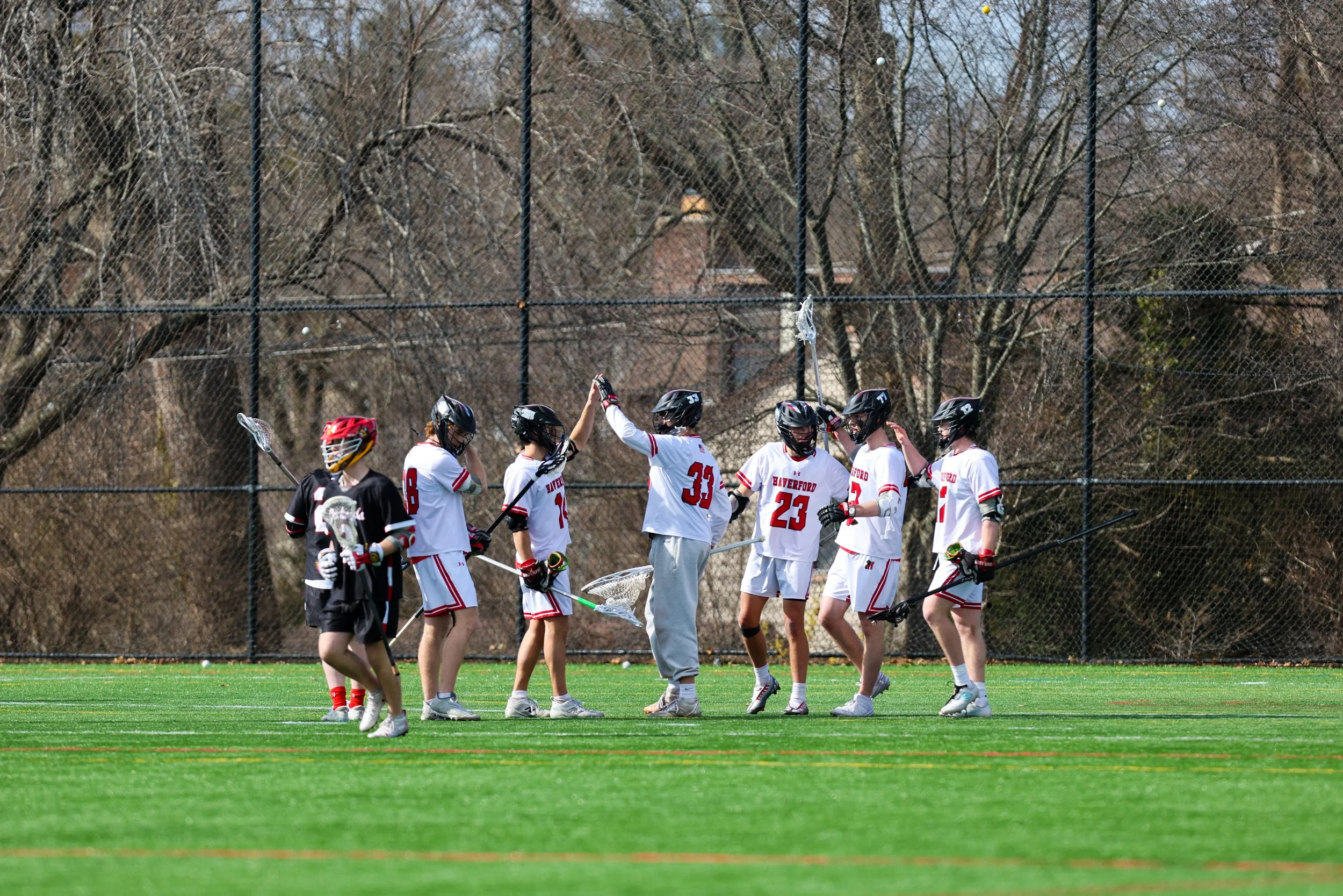 A group of Haverford Men's Lacrosse players in white and black uniforms are gathered on Swan Field, high-fiving and celebrating. They are wearing helmets and holding lacrosse sticks. Behind them is a tall chain-link fence and leafless trees.