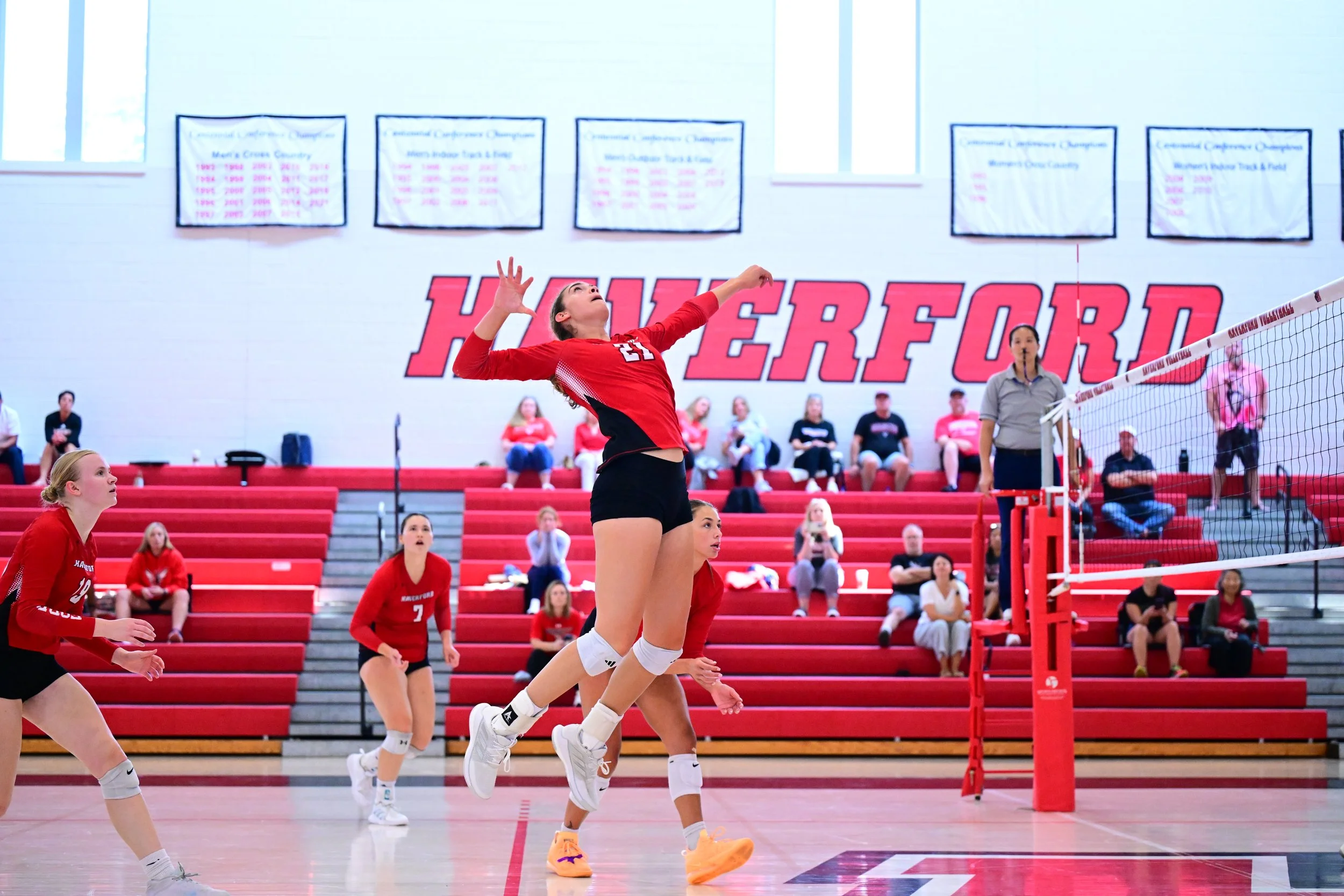A Haverford volleyball player jumps to spike the ball during a home match as teammates prepare on the court and spectators watch from the bleachers.