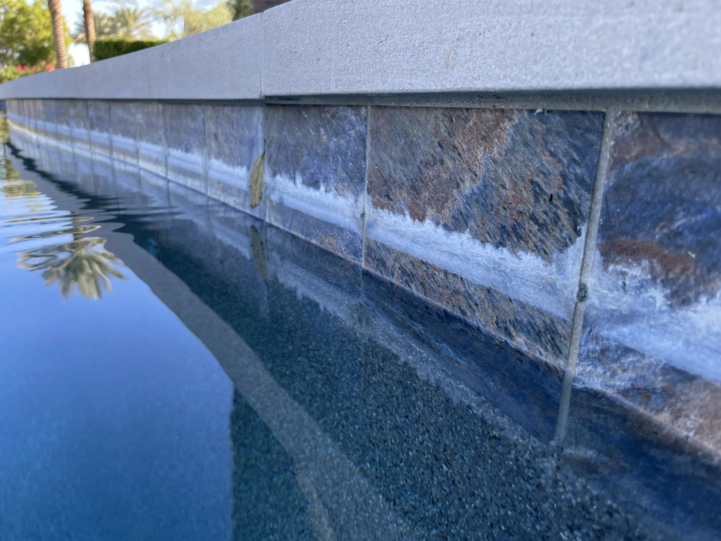 Close-up view of the edge of a pool, showing water reflecting the sky and palm trees, with tile and concrete border.