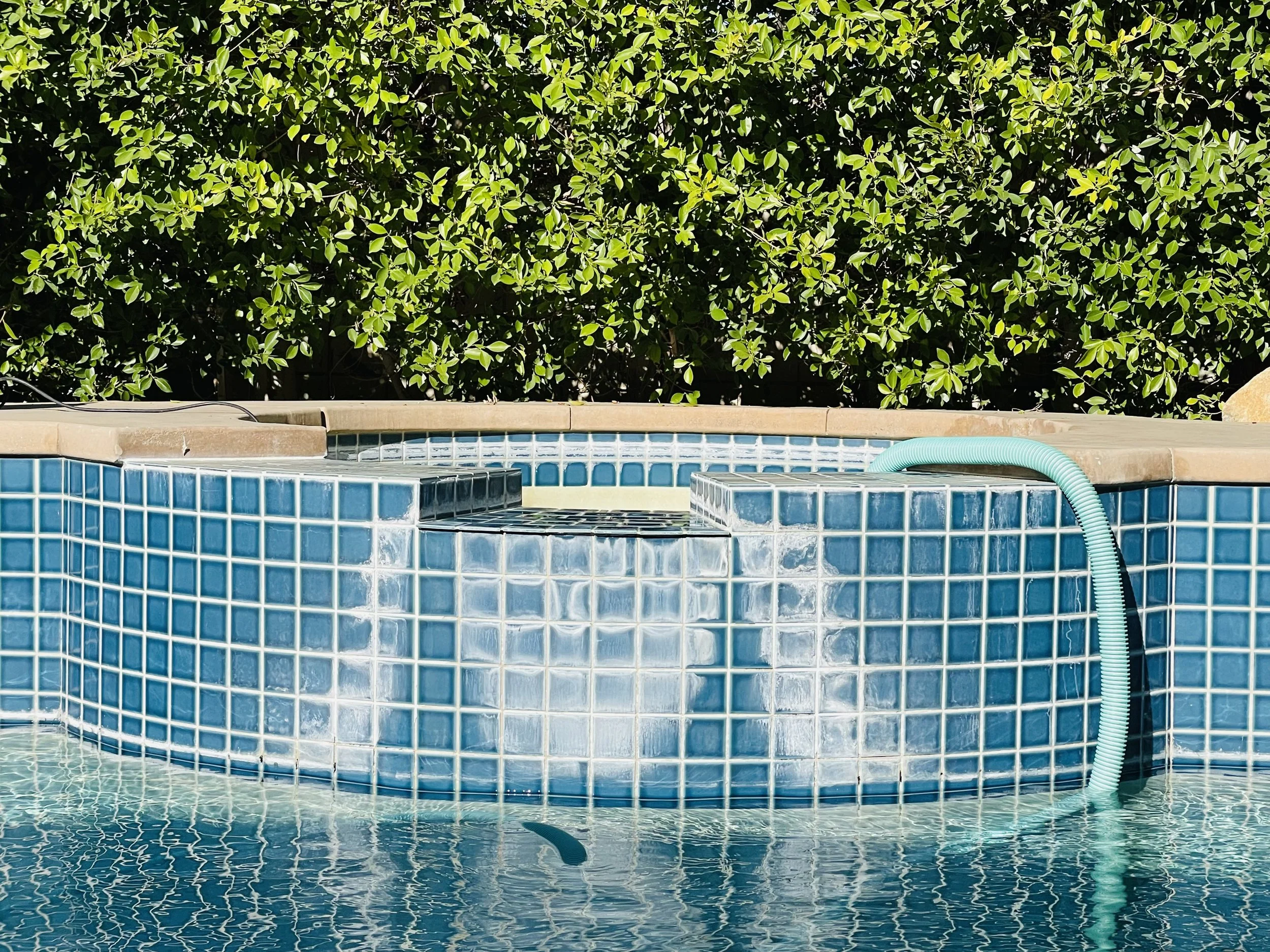 Close-up of a backyard swimming pool with blue tiled walls, a water feature with bubbling water, a flexible pool vacuum hose, and vibrant green bushes in the background.