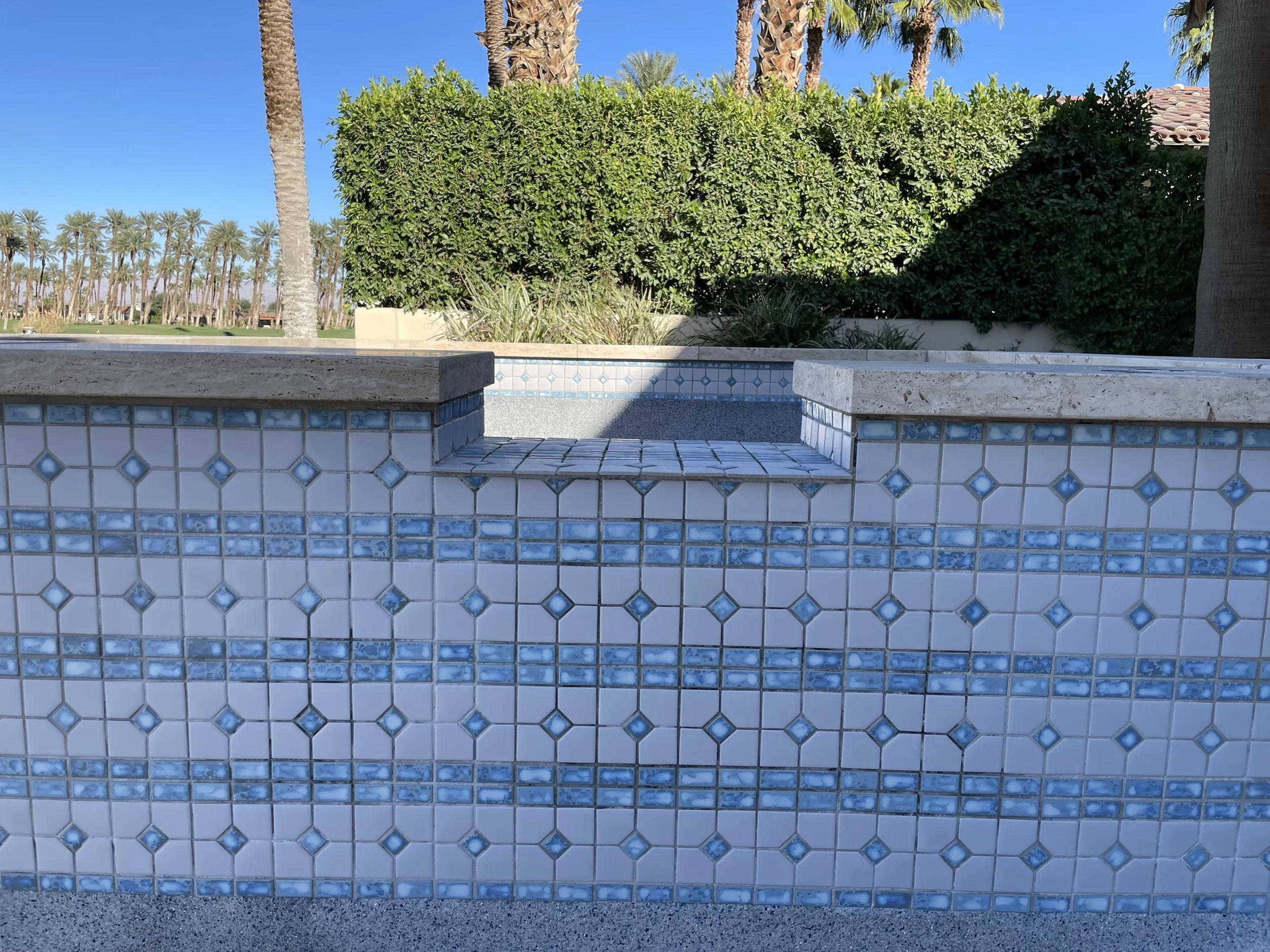 Empty swimming pool with blue and white tiled walls, surrounded by lush green bushes and palm trees under a clear blue sky.