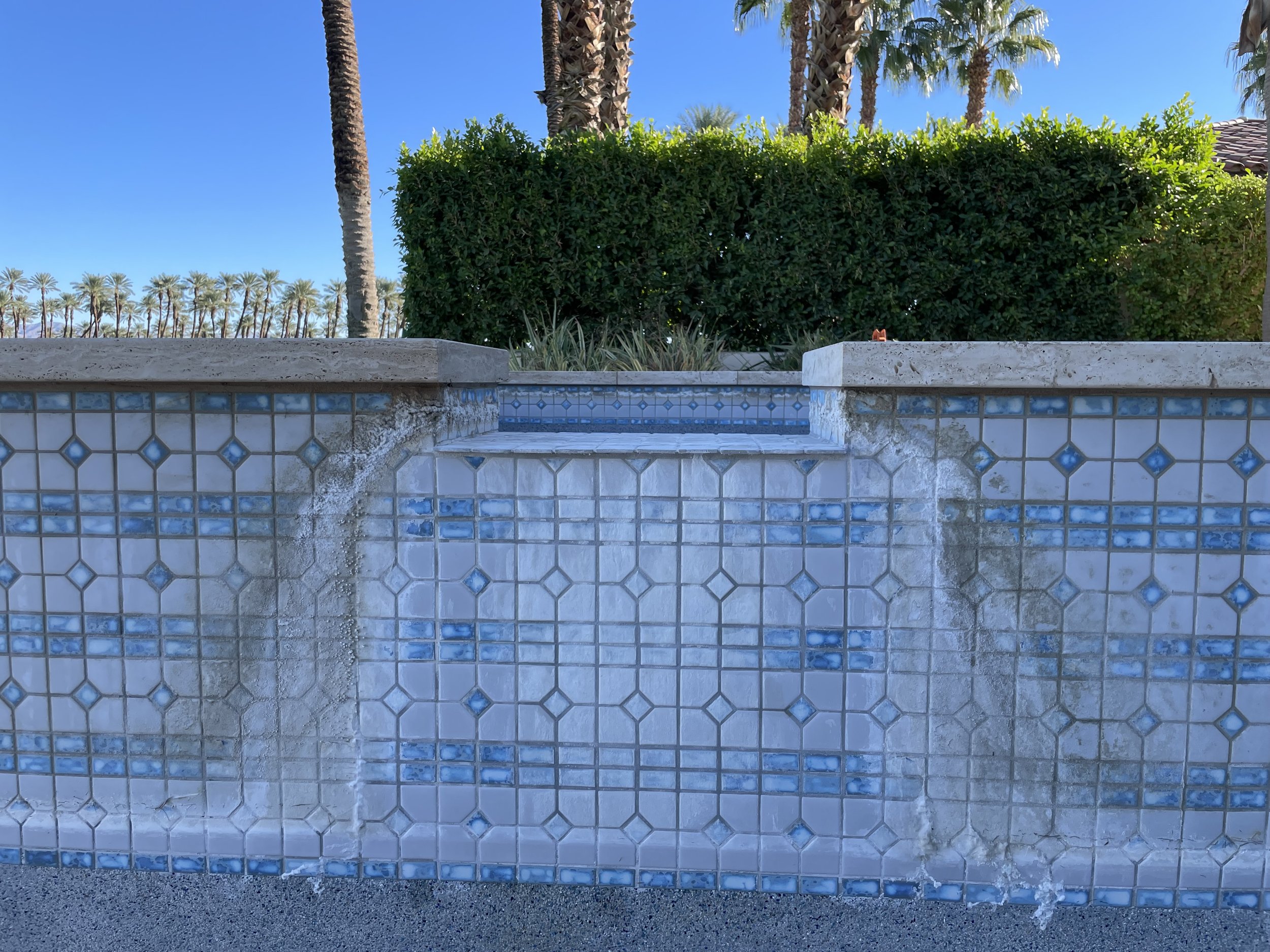 A pool with water cascading over the tiled edge, landscaping with palm trees and bushes in the background under a clear blue sky.