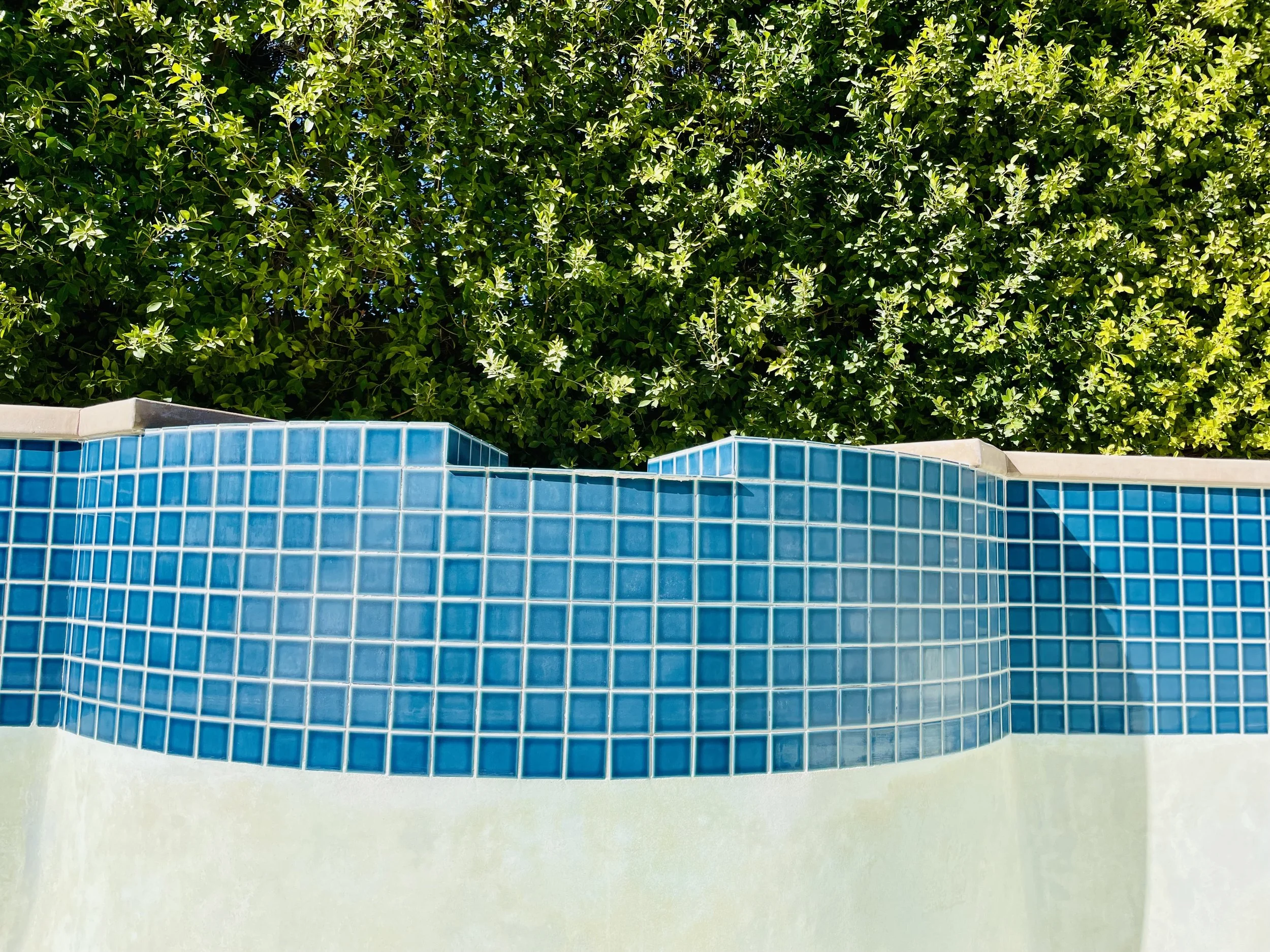 Close-up of a pool with blue mosaic tiles and a backdrop of green foliage.