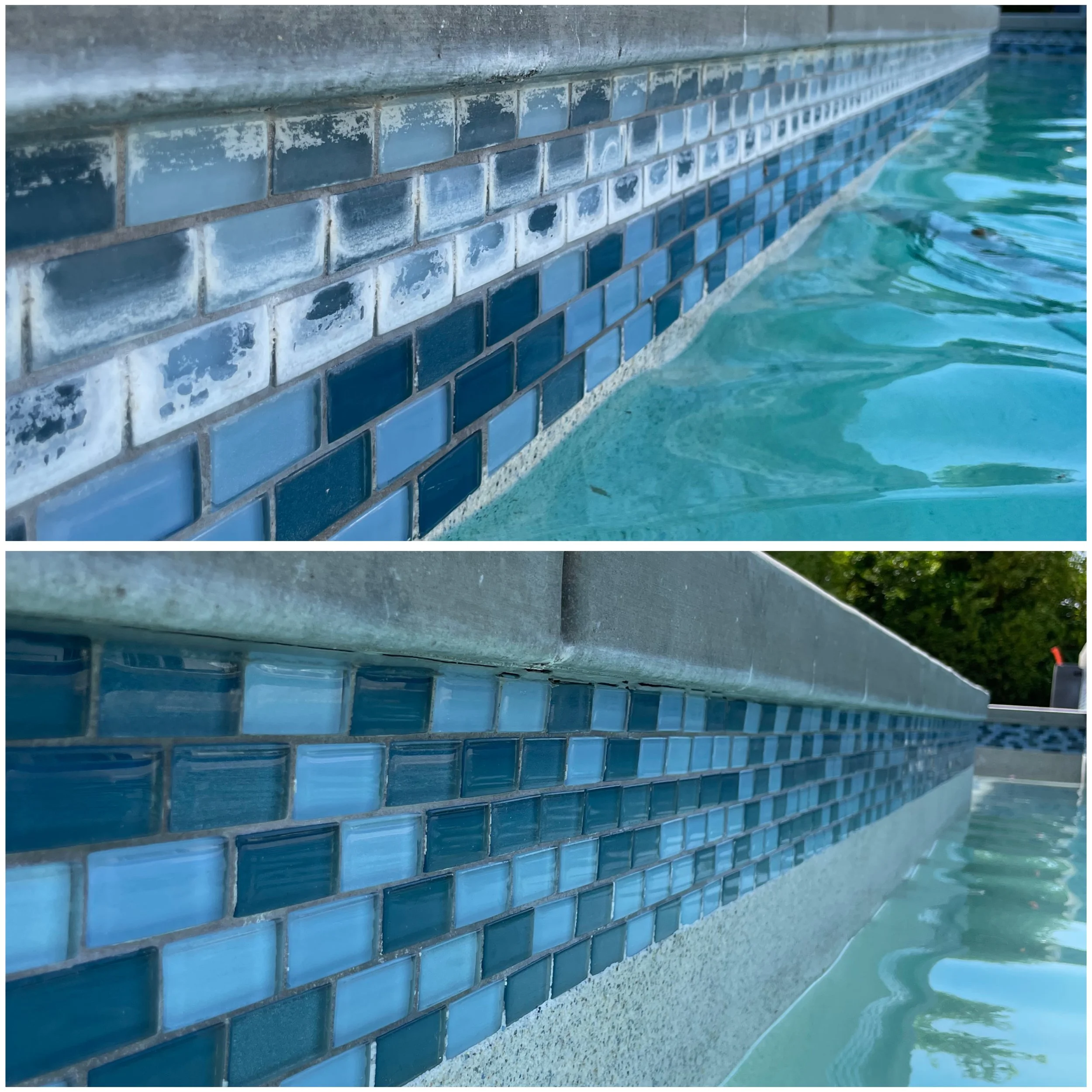 Close-up view of a swimming pool's tiled waterline with blue mosaic tiles and a concrete coping edge.
