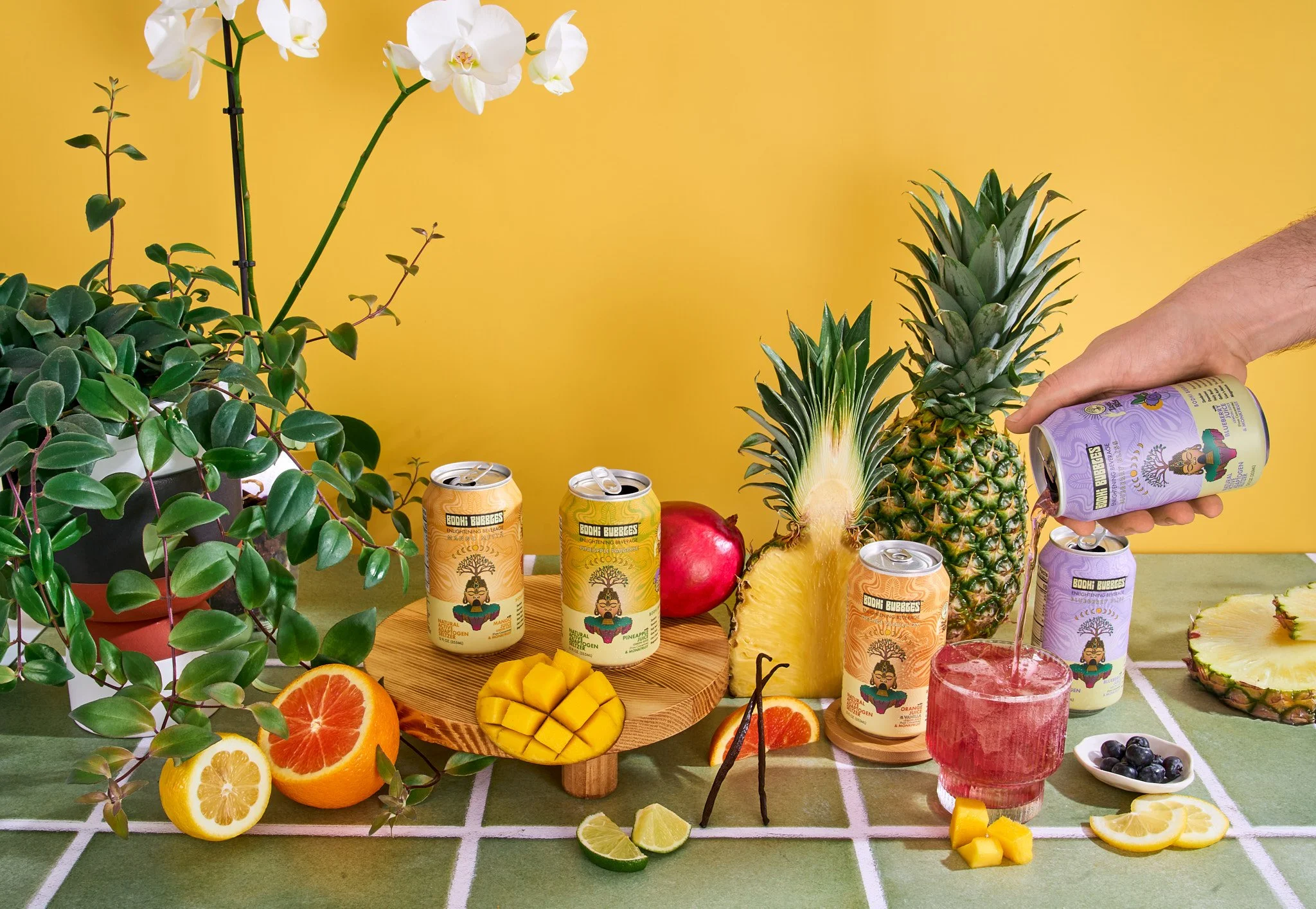 BodhiBubbles_WEB_486_BodhiBubbles1647 1.jpg