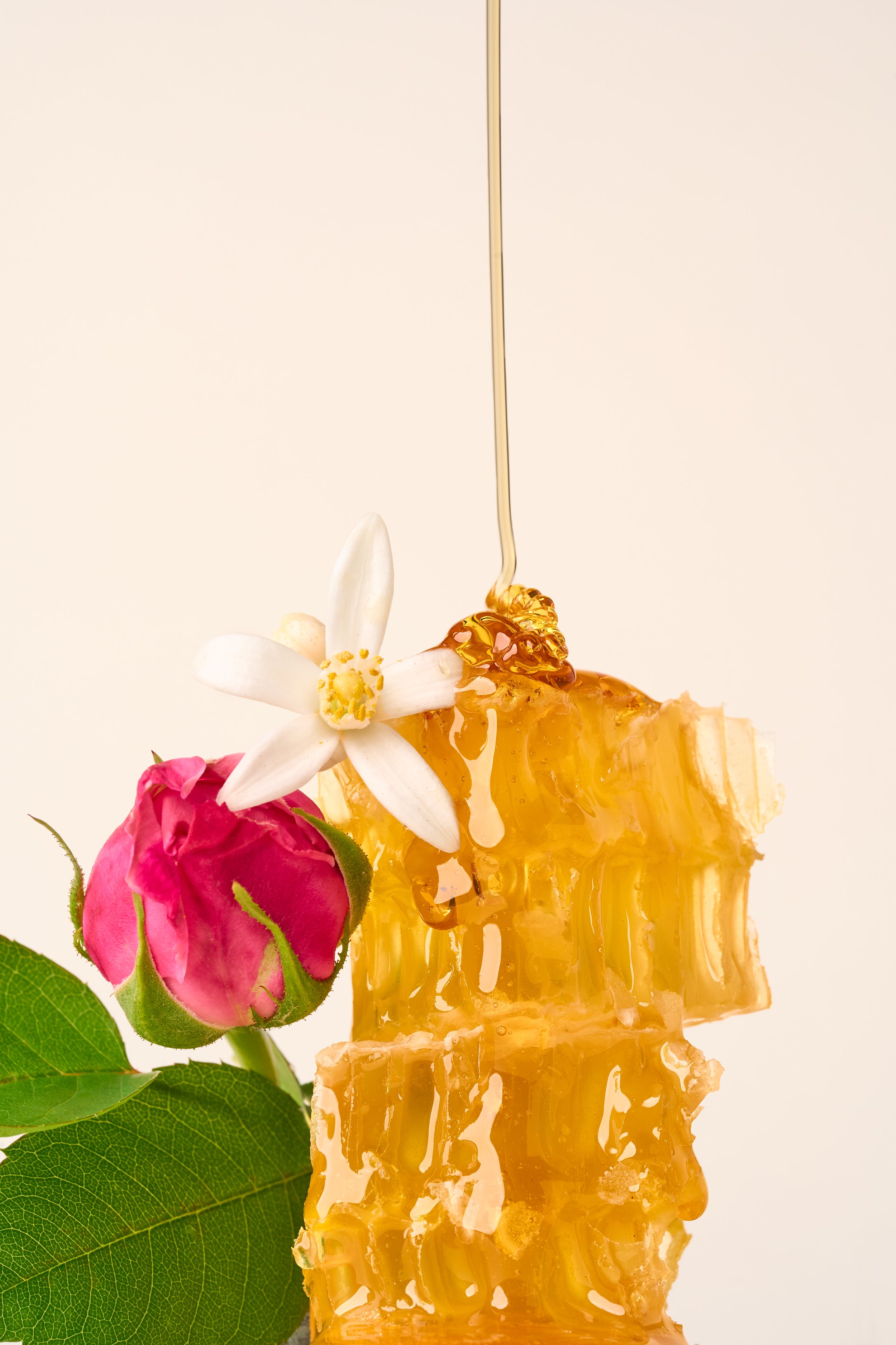 FULLSIZE_Ingredients_Reclamation-Relaunch_224.jpg