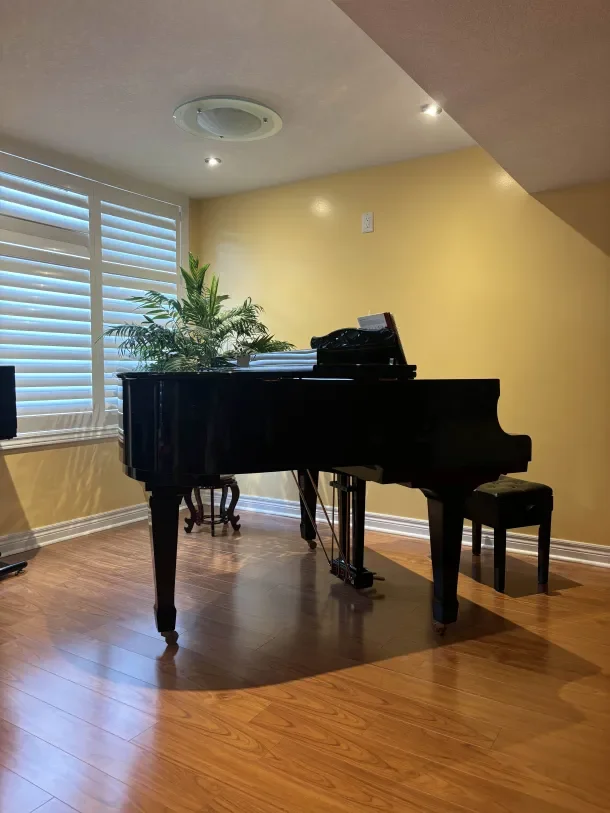 A black grand piano in a yellow-walled room with hardwood floors, near a window with white shutters, a potted plant, and a black stool.